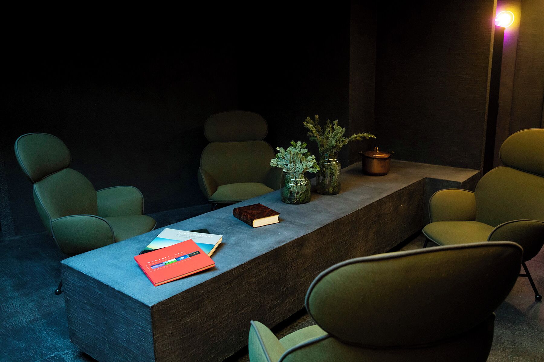 Les Pardines 1819 Mountain Suites & SPA