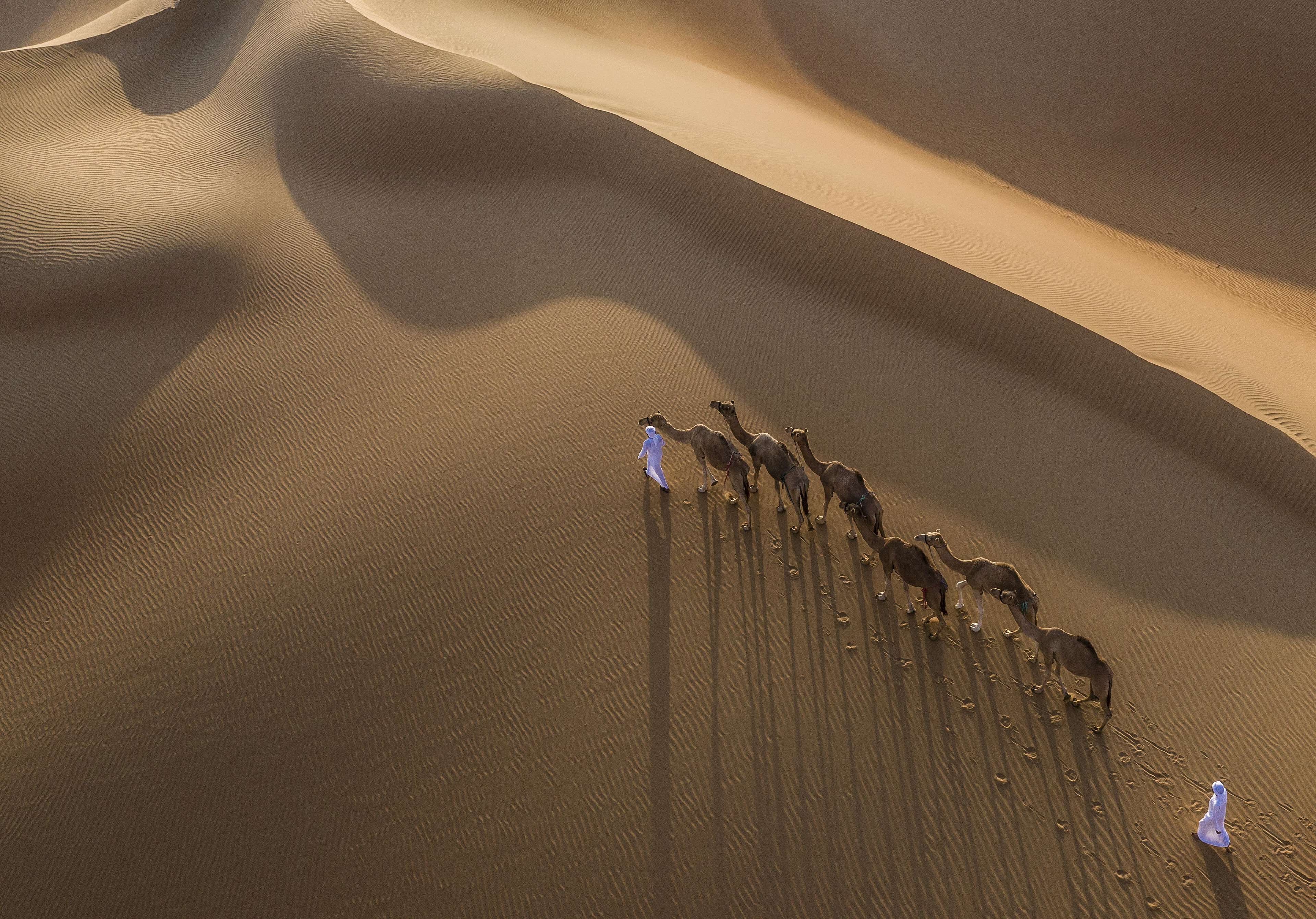 Qasr Al Sarab Desert Resort by Anantara