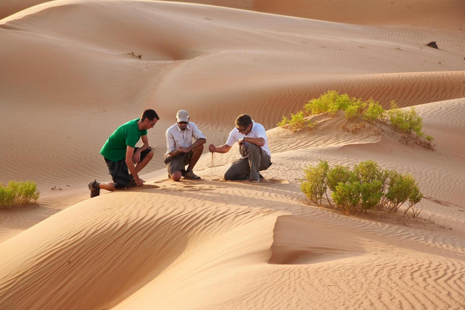 Qasr Al Sarab Desert Resort by Anantara