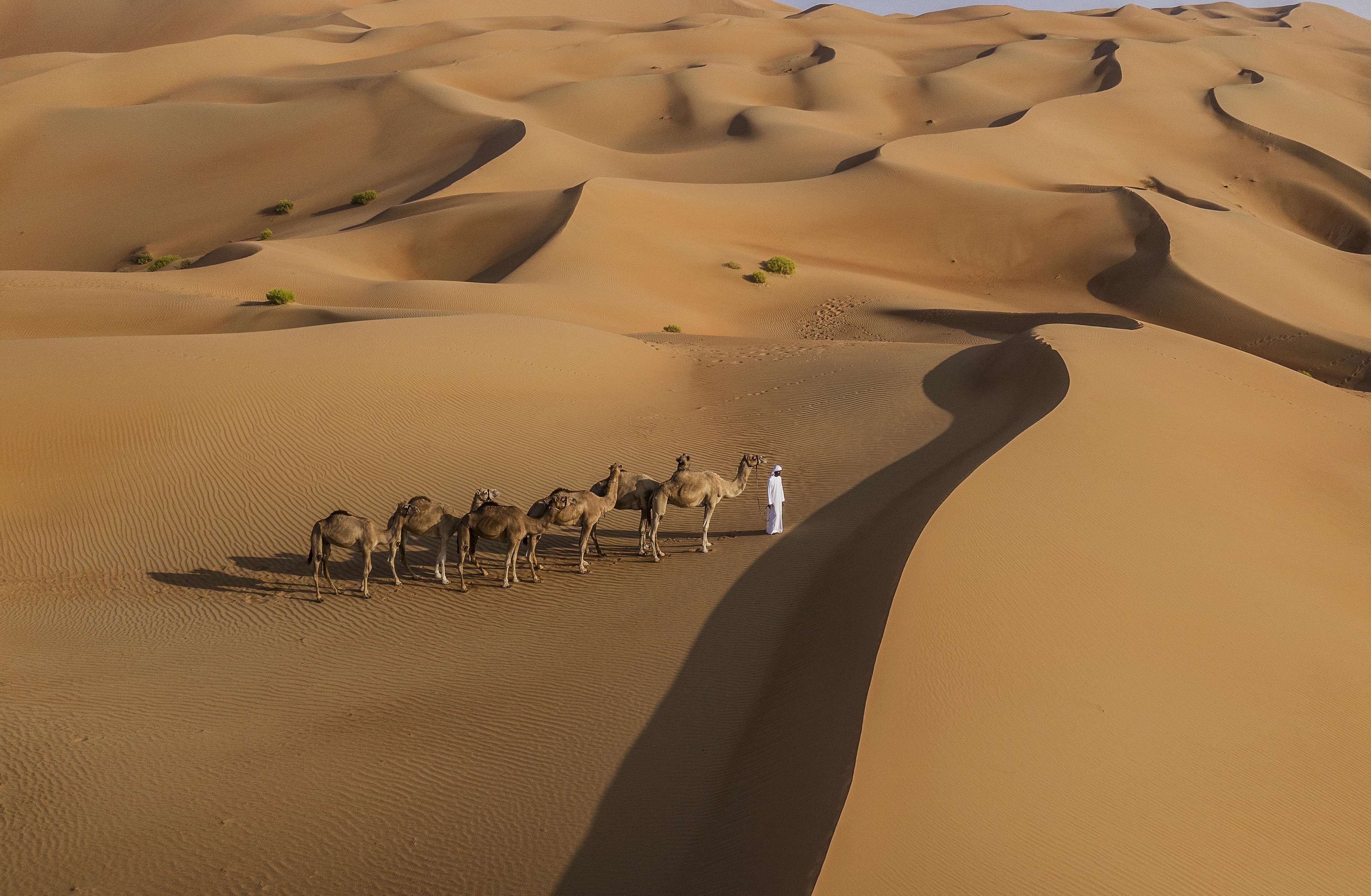 Qasr Al Sarab Desert Resort by Anantara