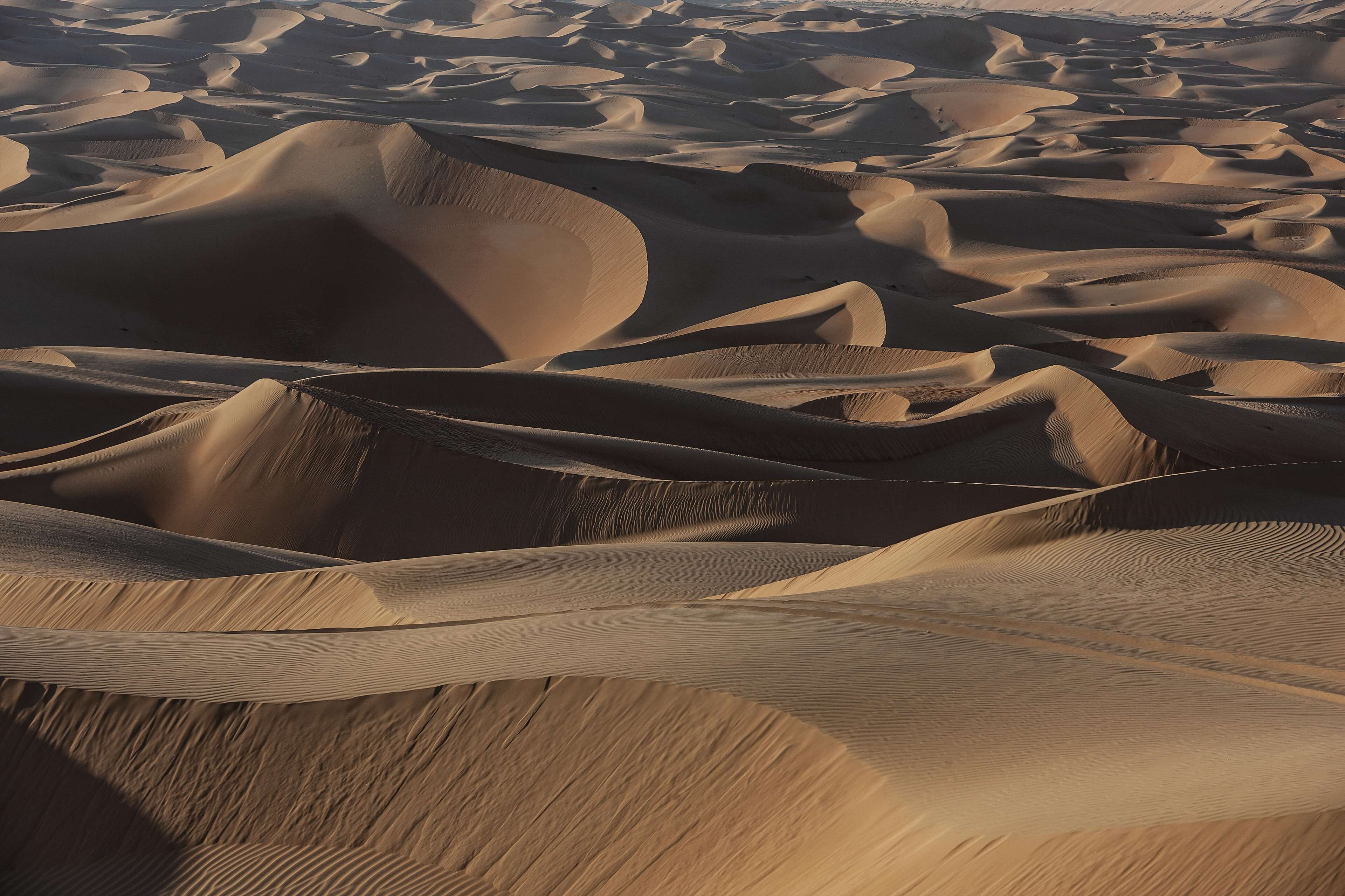 Qasr Al Sarab Desert Resort by Anantara