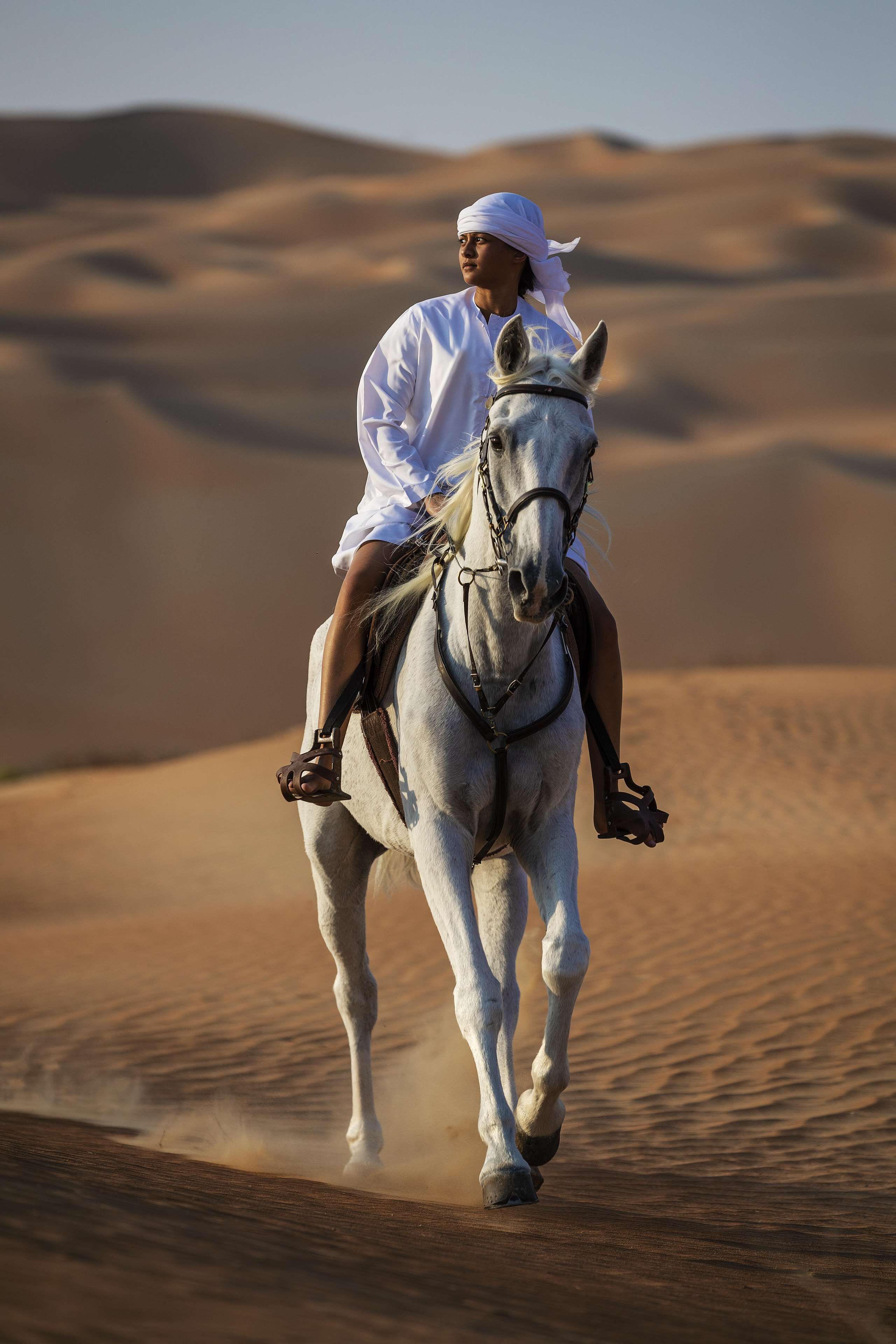 Qasr Al Sarab Desert Resort by Anantara
