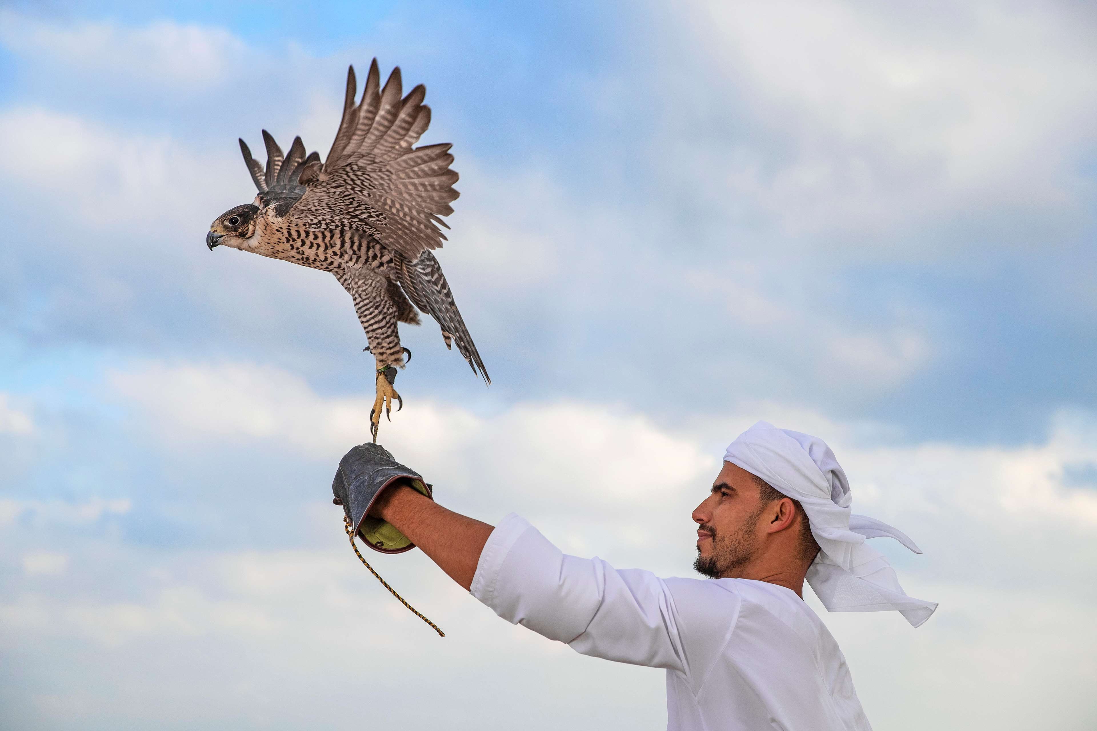 Anantara Sir Bani Yas Island Al Sahel Villa Resort