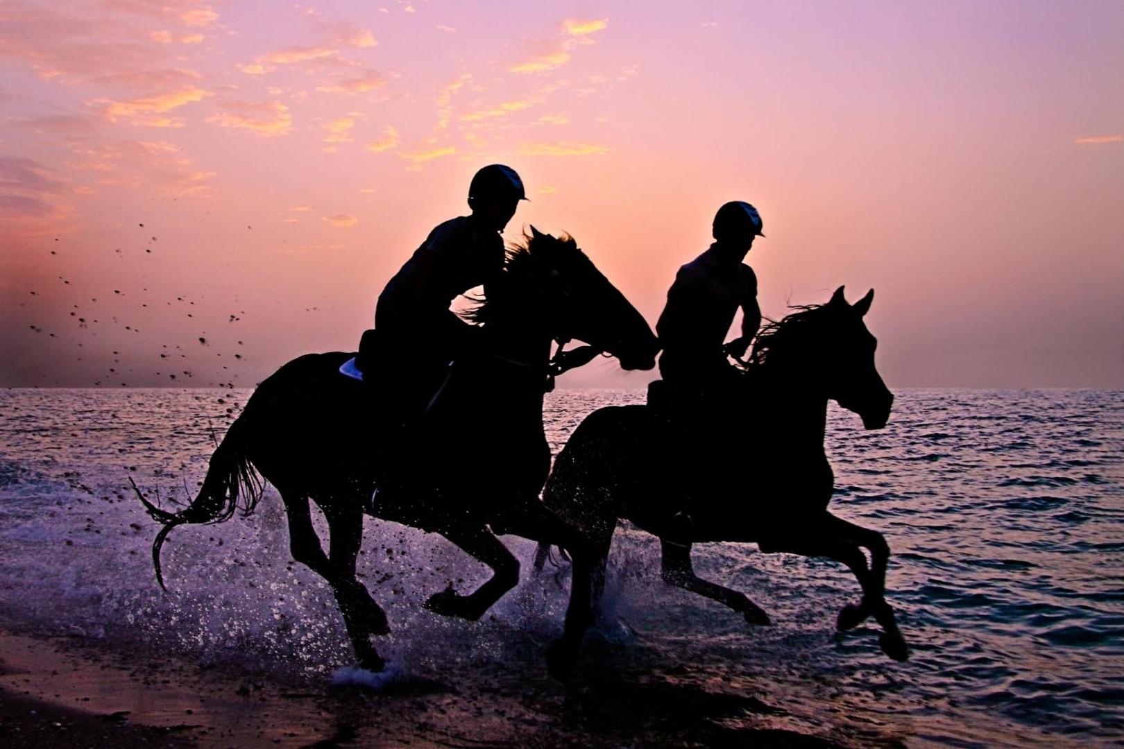 Anantara Sir Bani Yas Island Al Sahel Villa Resort