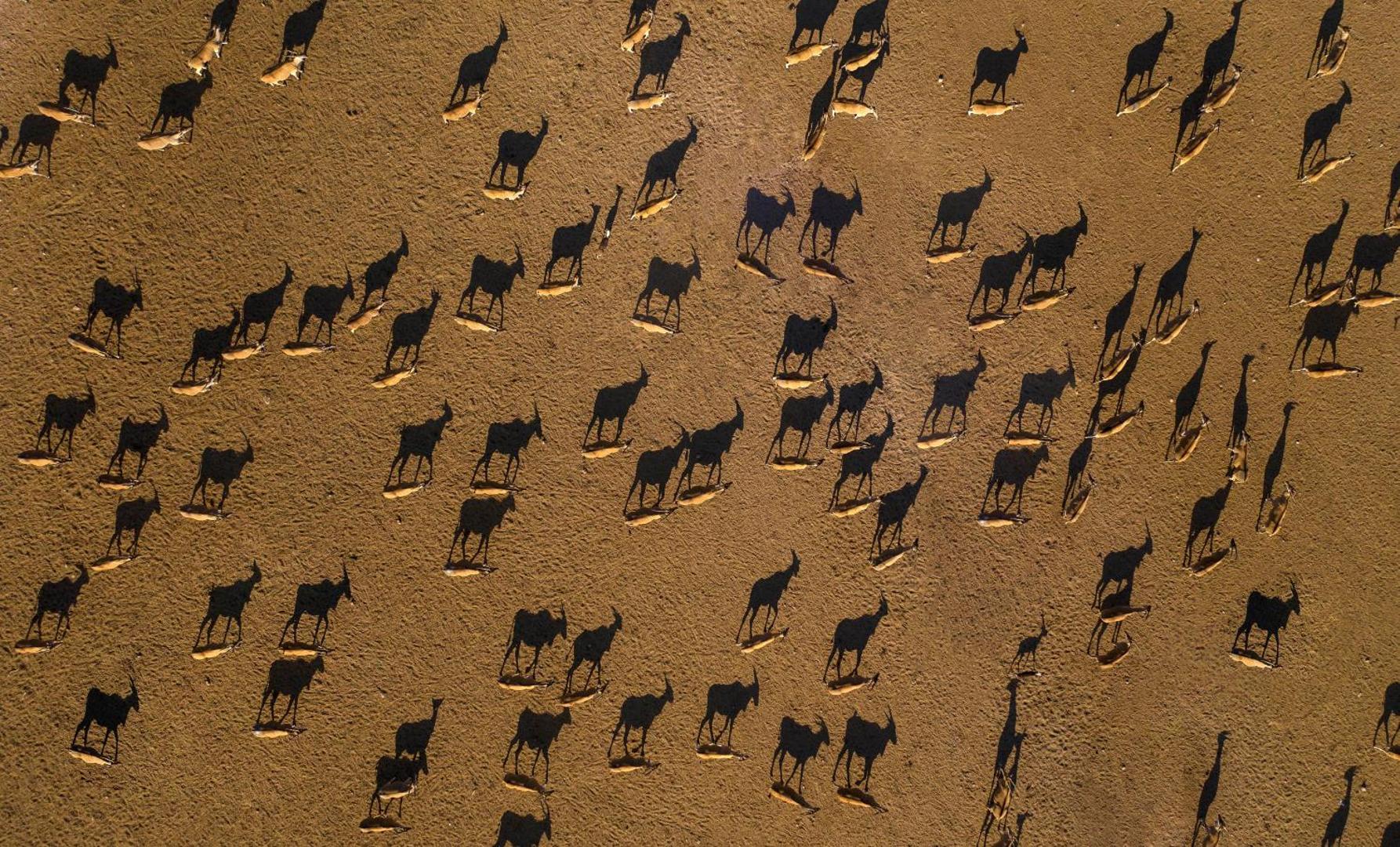 Anantara Sir Bani Yas Island Al Sahel Villa Resort