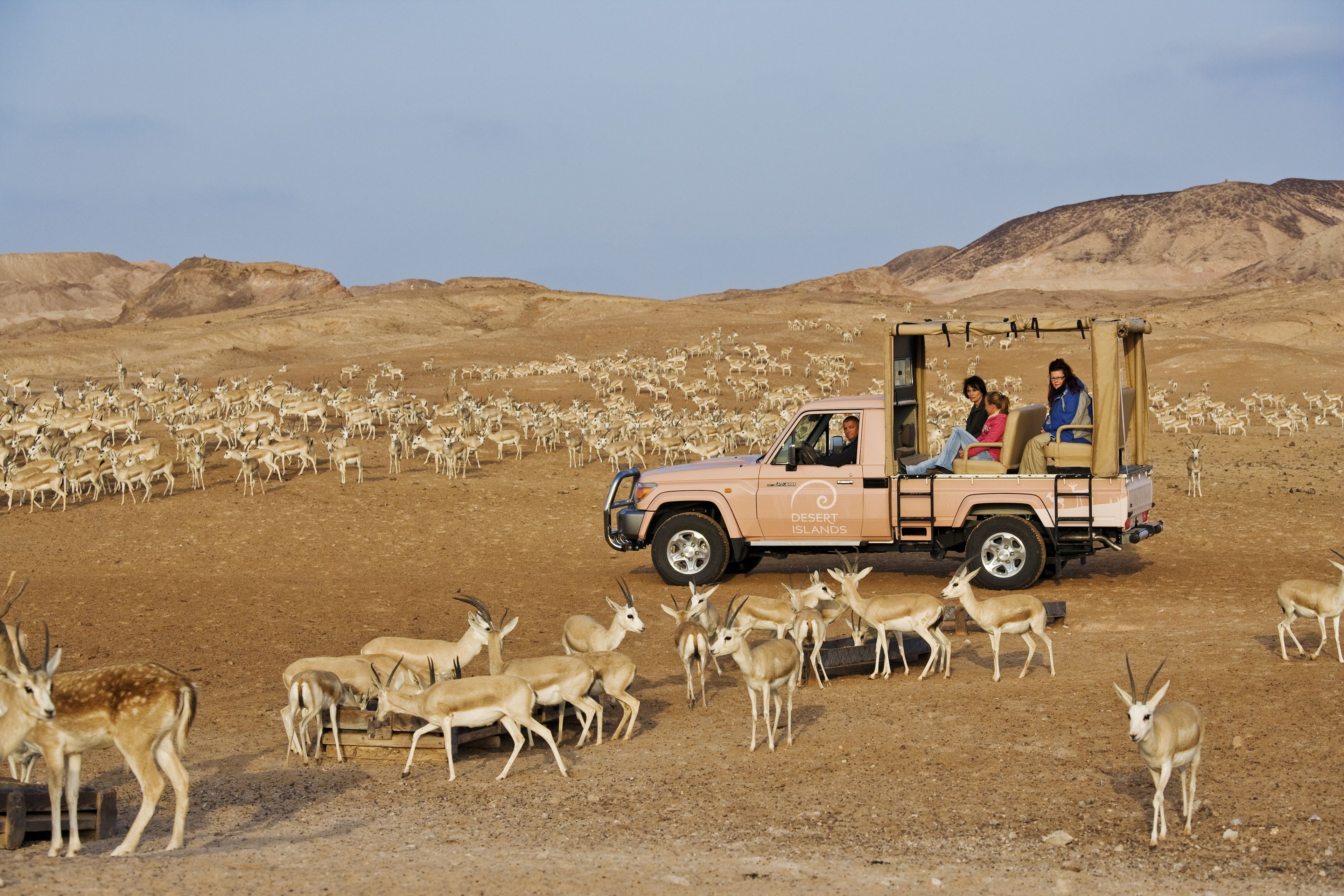 Anantara Sir Bani Yas Island Al Sahel Villa Resort