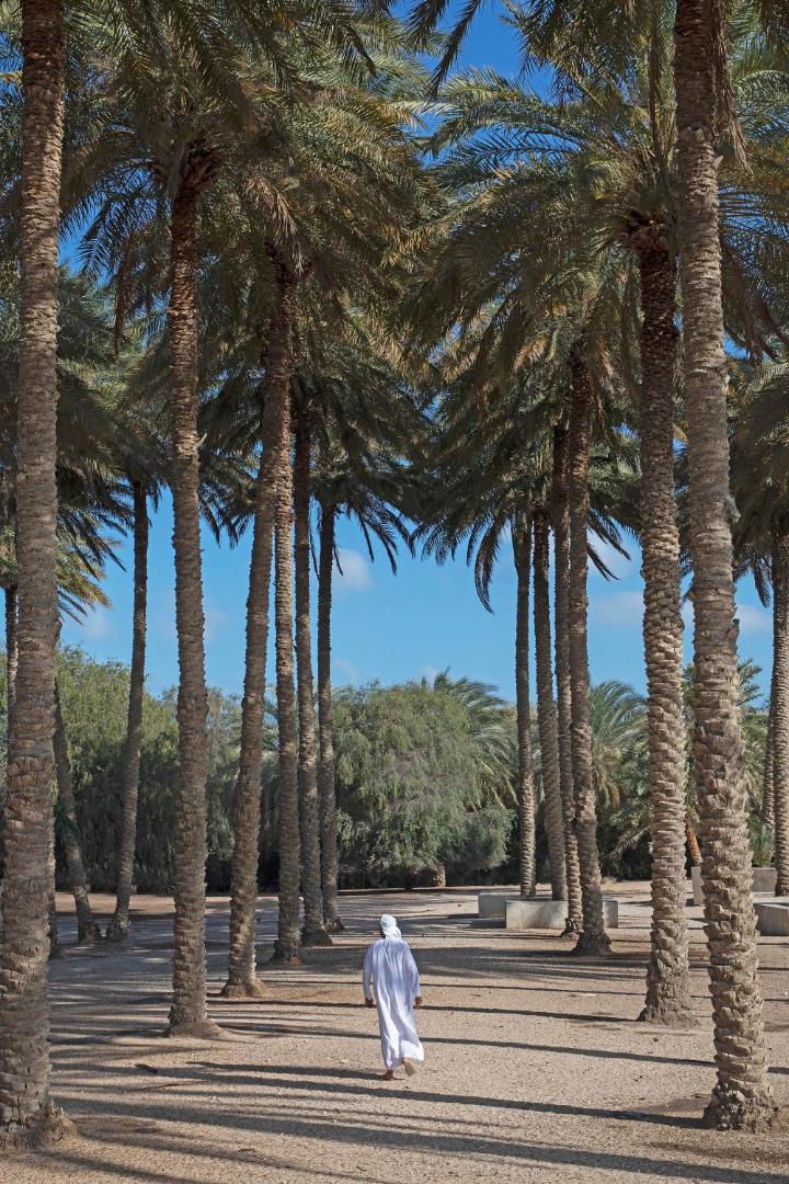 Anantara Sir Bani Yas Island Al Sahel Villa Resort