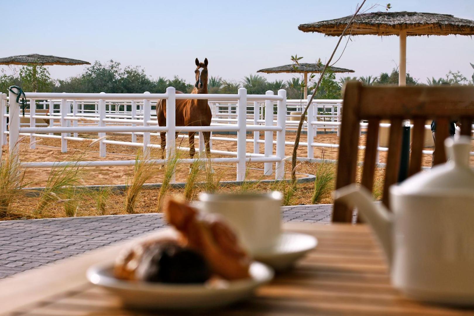 Anantara Sir Bani Yas Island Al Sahel Villa Resort