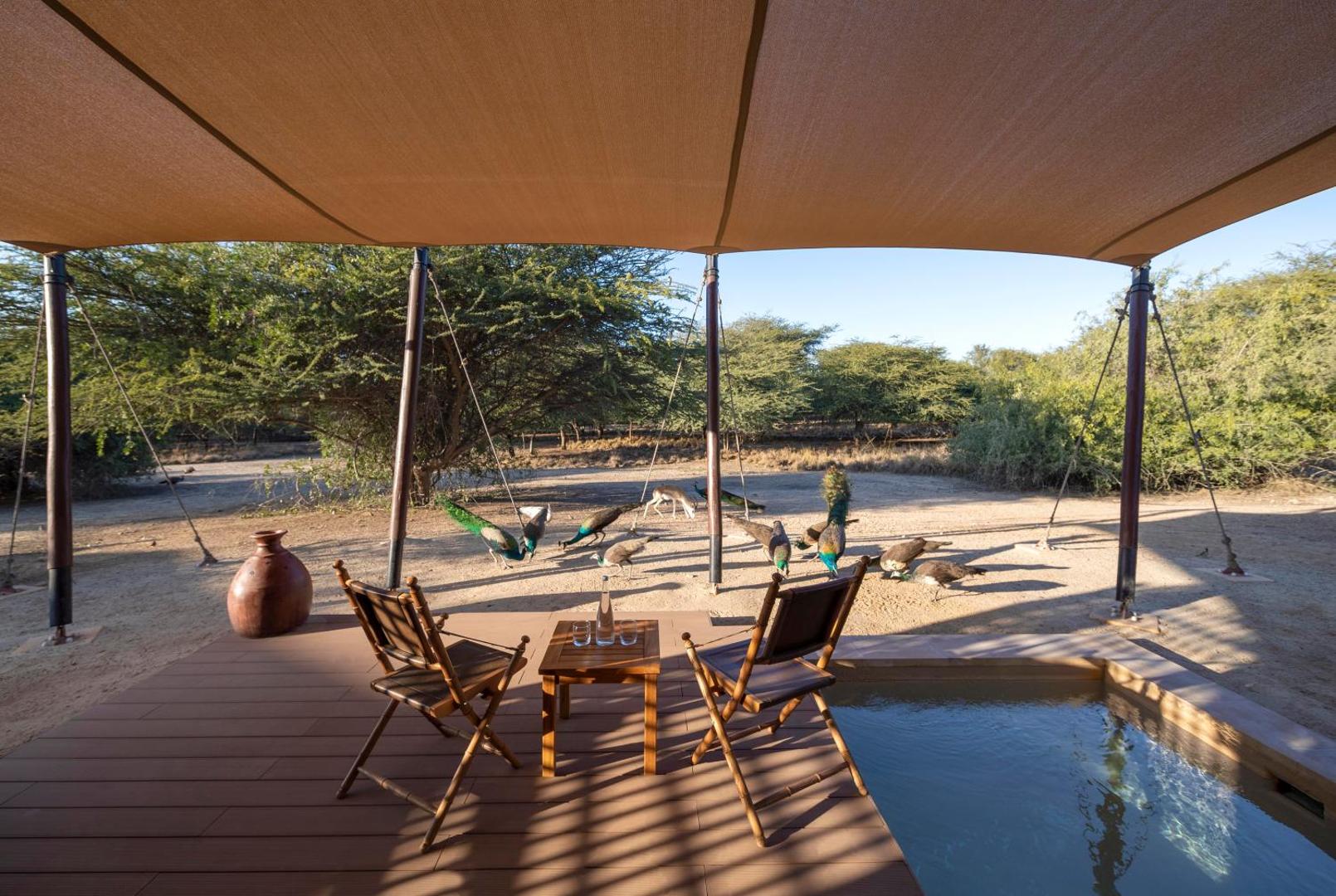 Anantara Sir Bani Yas Island Al Sahel Villa Resort