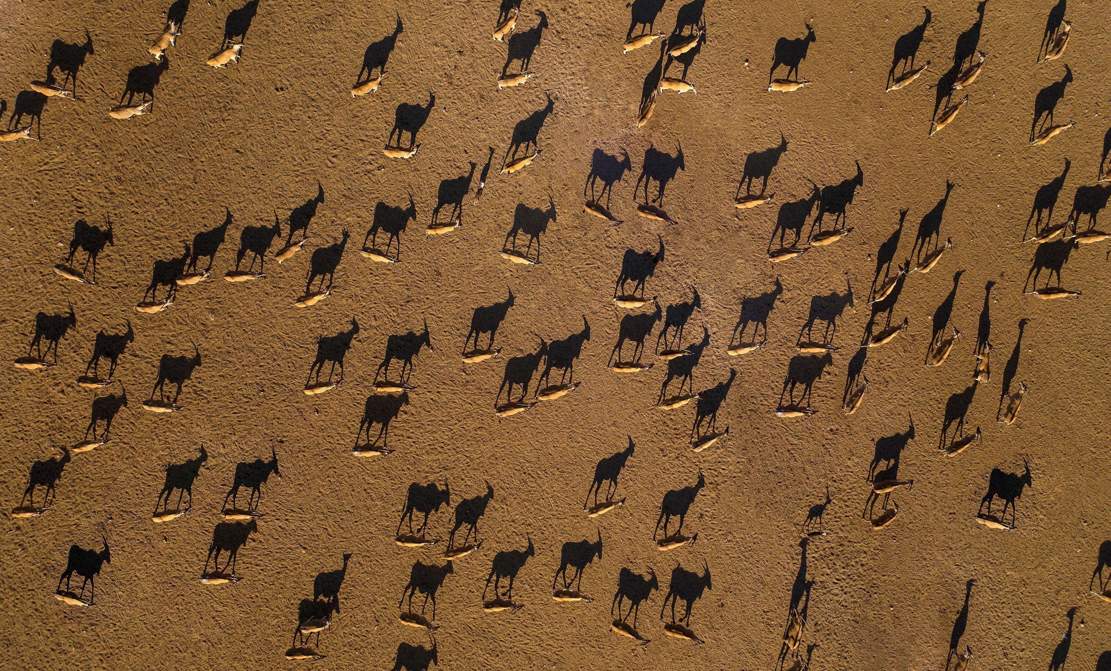 Anantara Sir Bani Yas Island Al Sahel Villa Resort