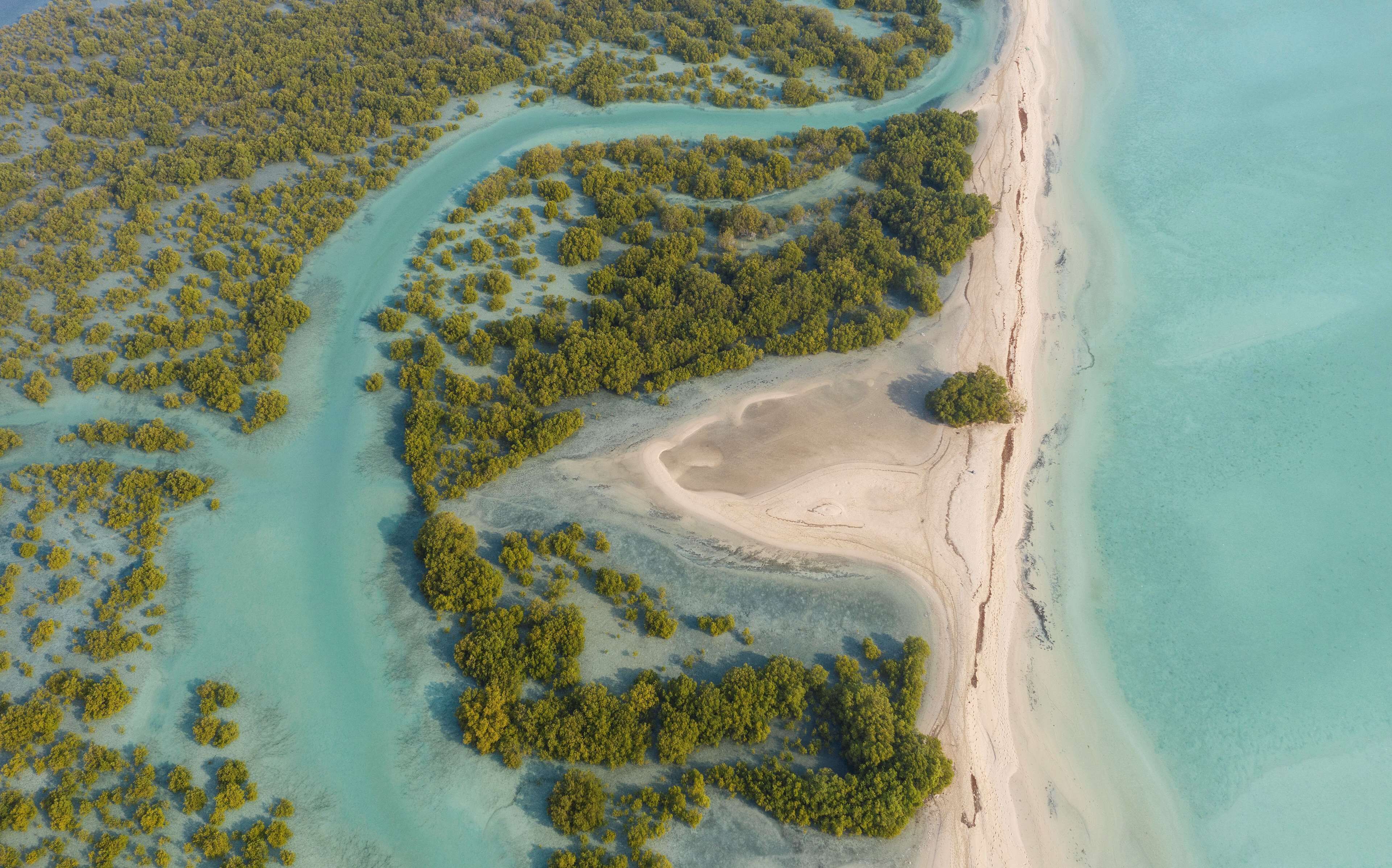 Anantara Sir Bani Yas Island Al Sahel Villa Resort