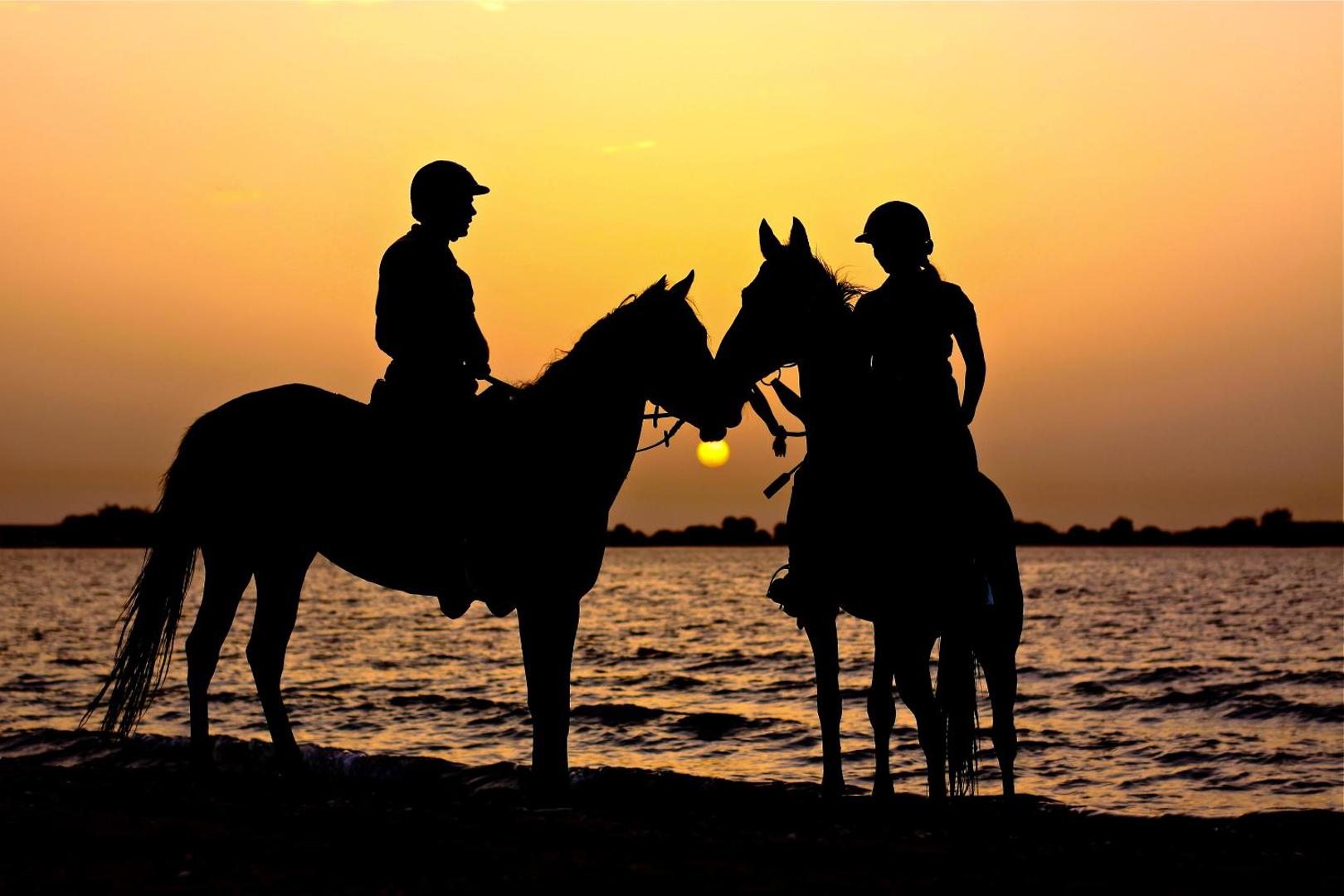 Anantara Sir Bani Yas Island Al Sahel Villa Resort