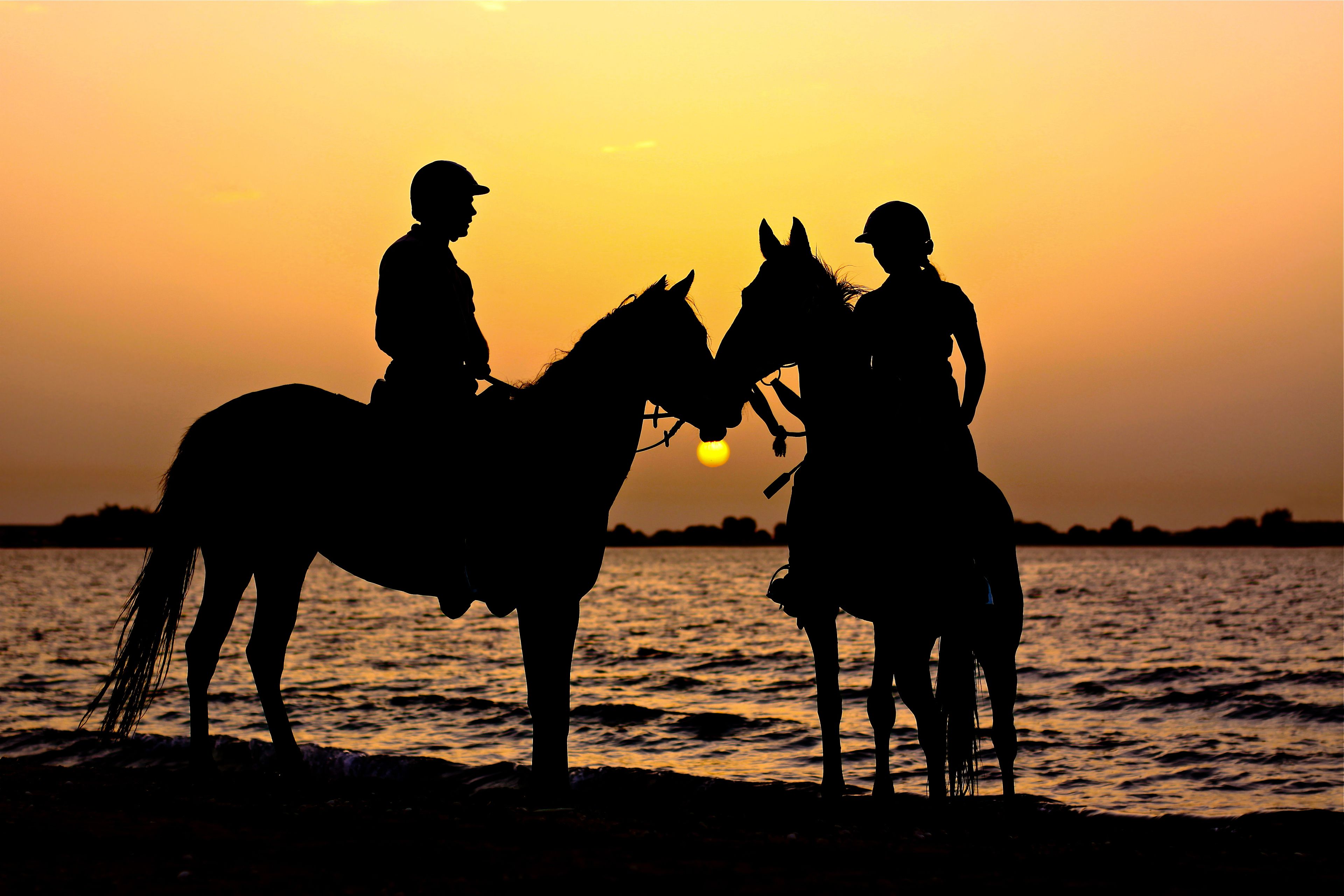 Anantara Sir Bani Yas Island Al Sahel Villa Resort