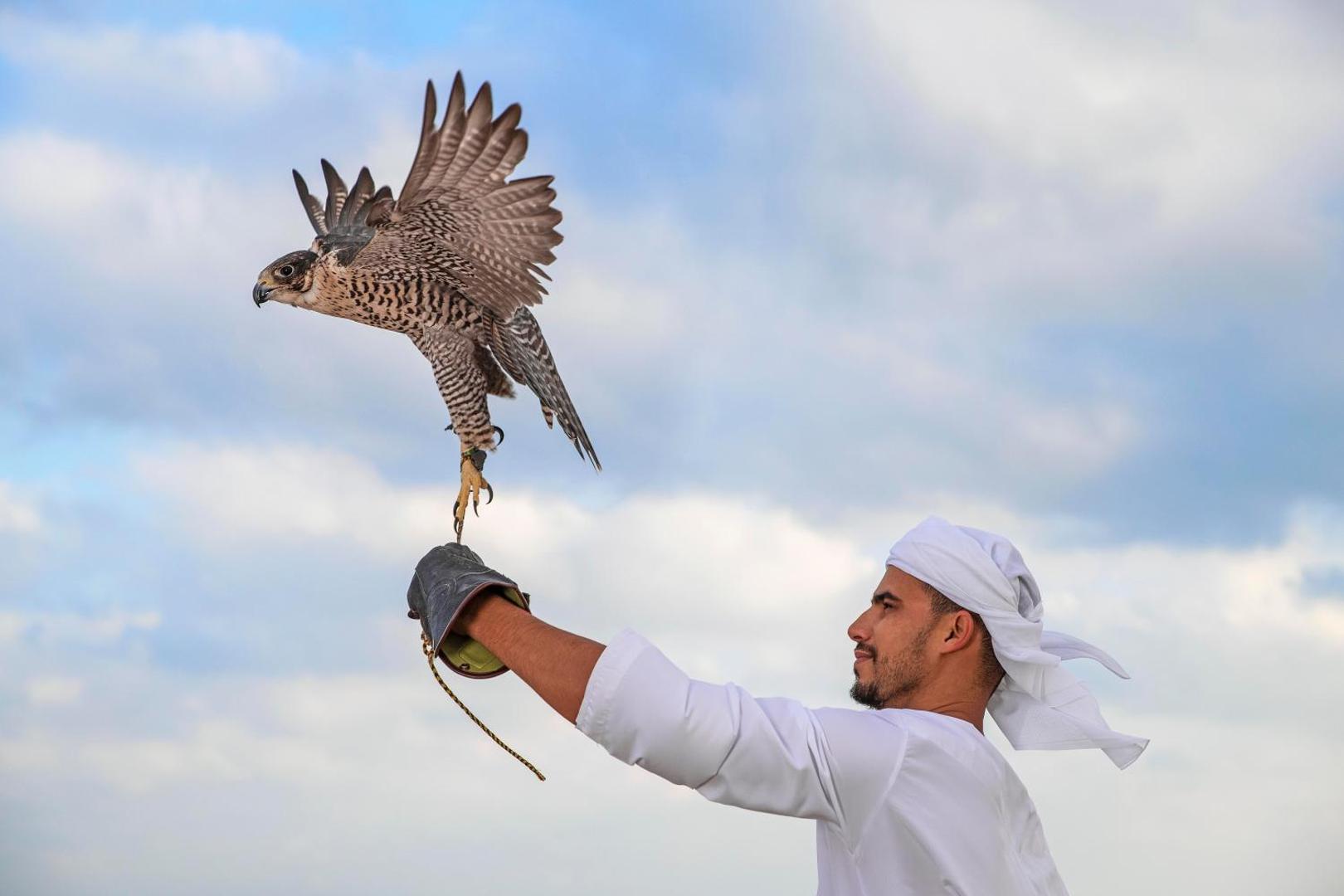 Anantara Sir Bani Yas Island Al Sahel Villa Resort