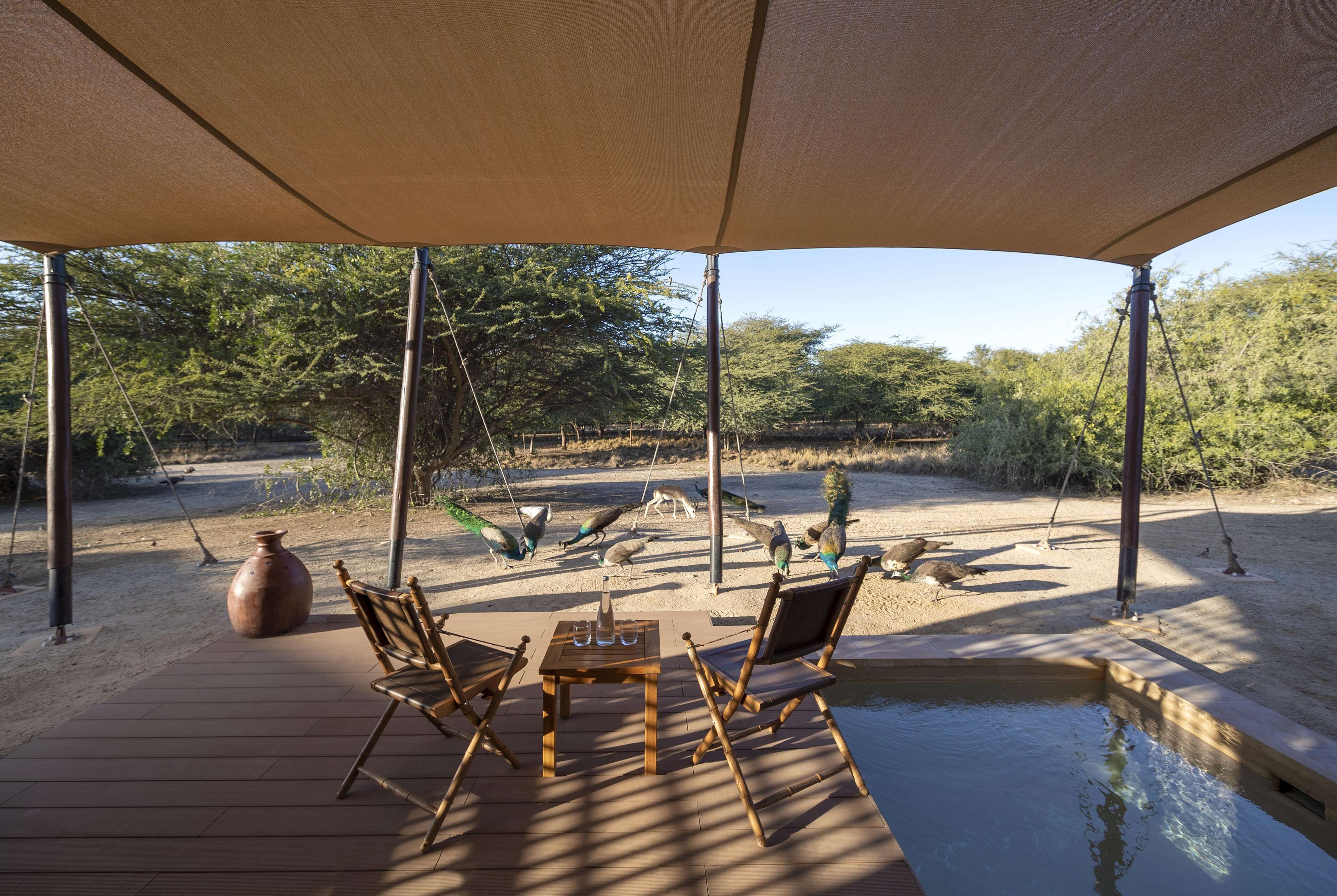 Anantara Sir Bani Yas Island Al Sahel Villa Resort