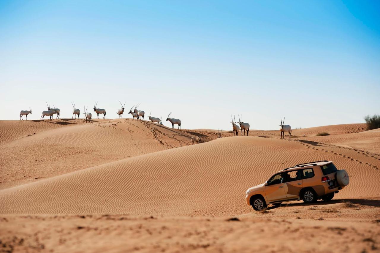 Al Maha, a Luxury Collection Desert Resort & Spa