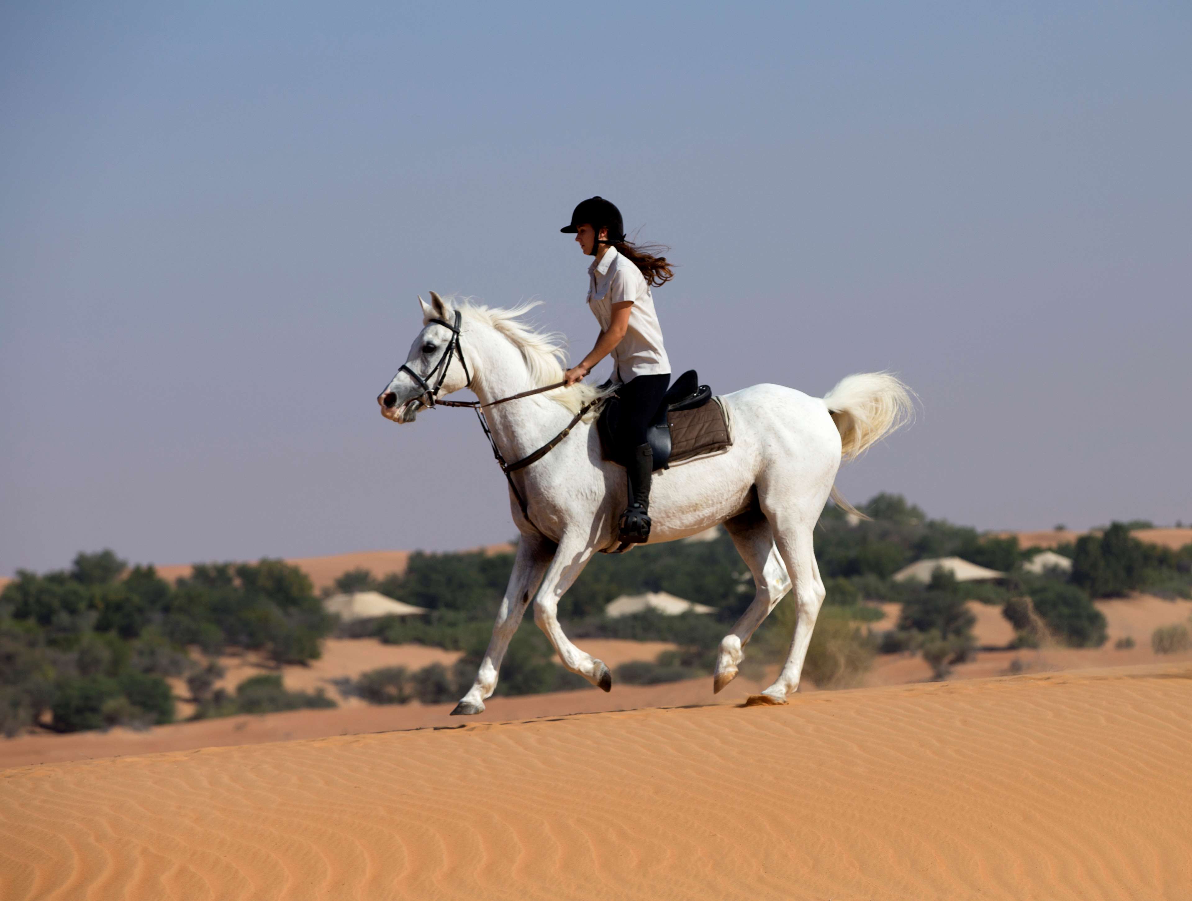 Al Maha, a Luxury Collection Desert Resort & Spa