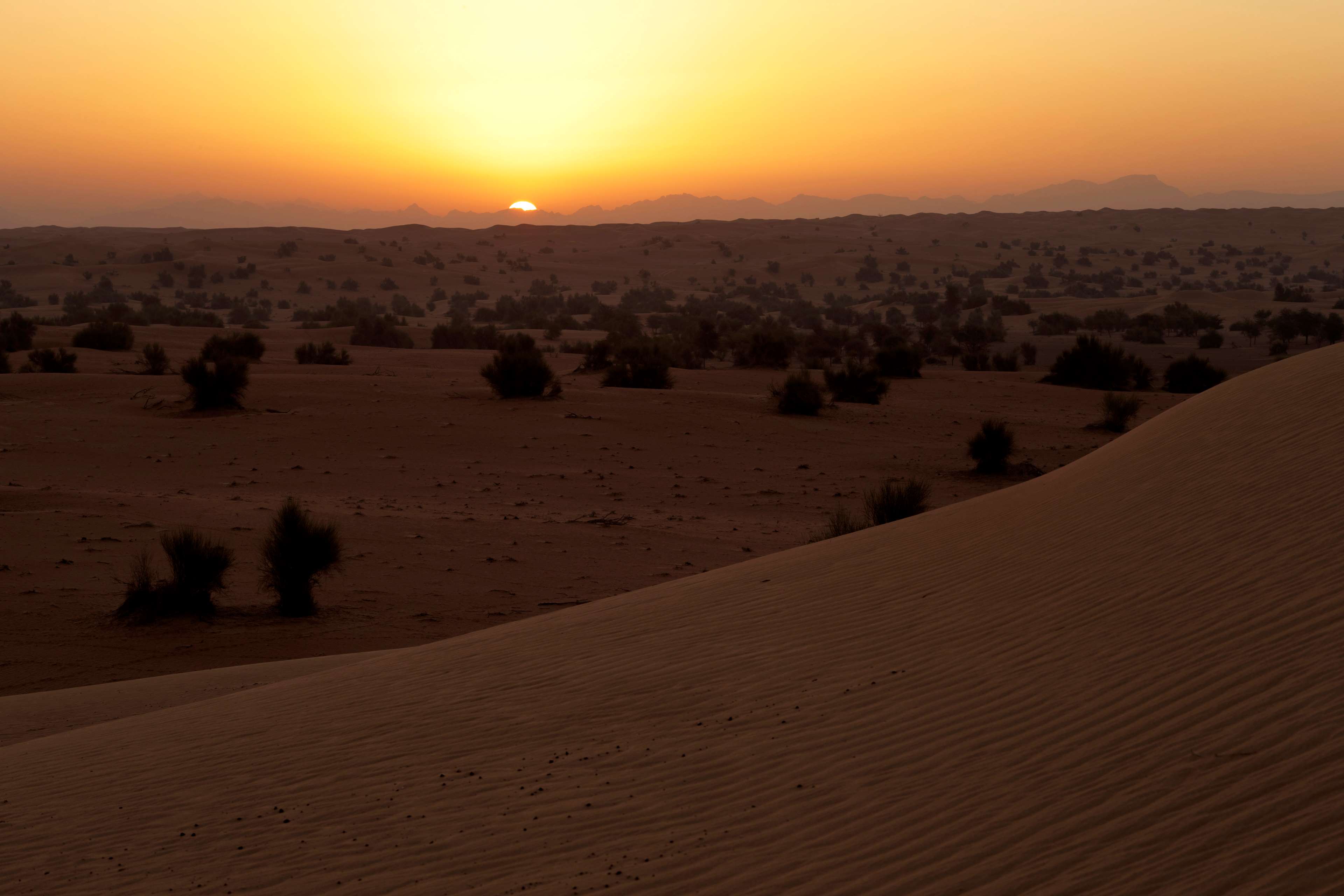 Al Maha, a Luxury Collection Desert Resort & Spa