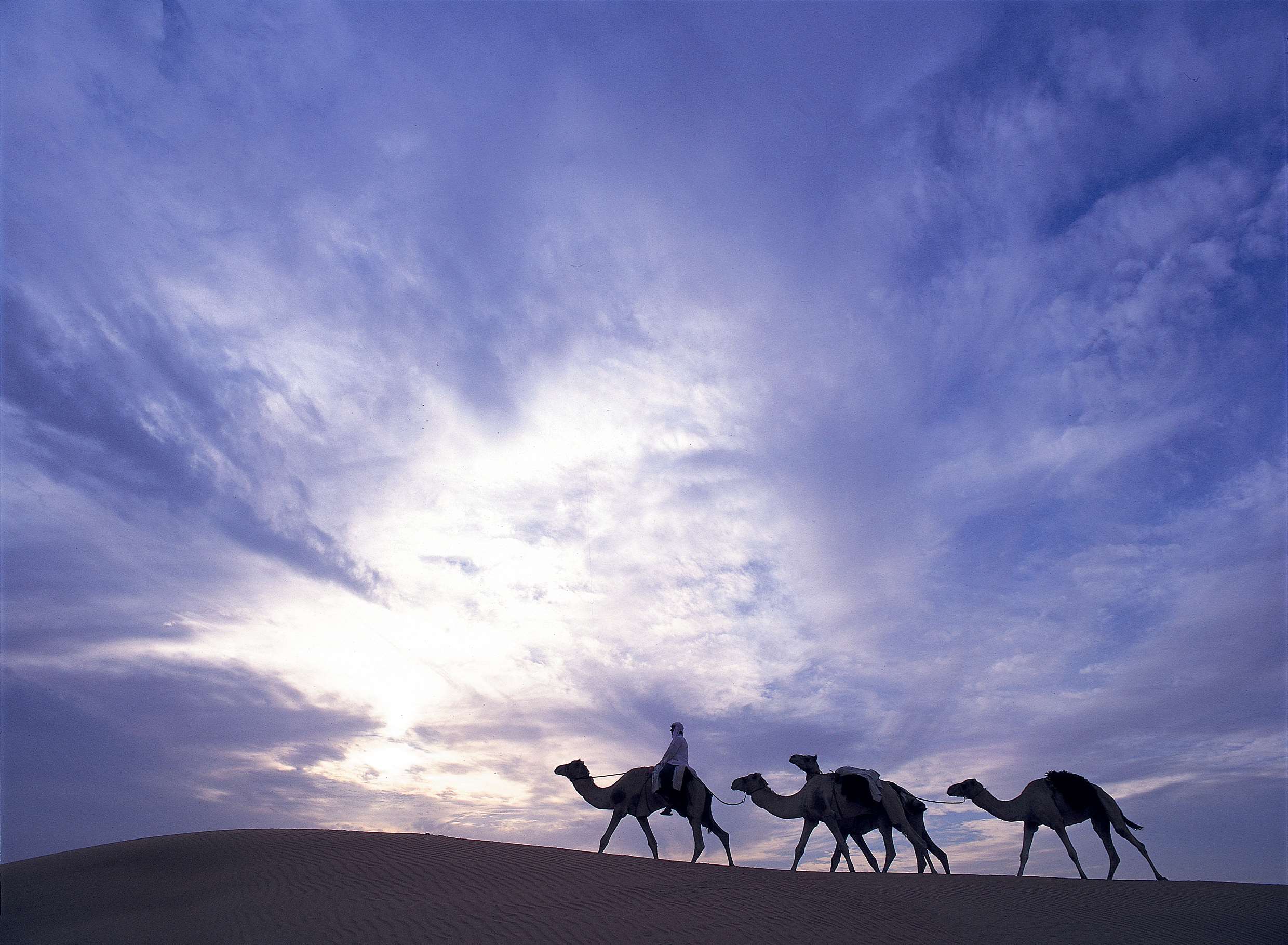 Al Maha, a Luxury Collection Desert Resort & Spa