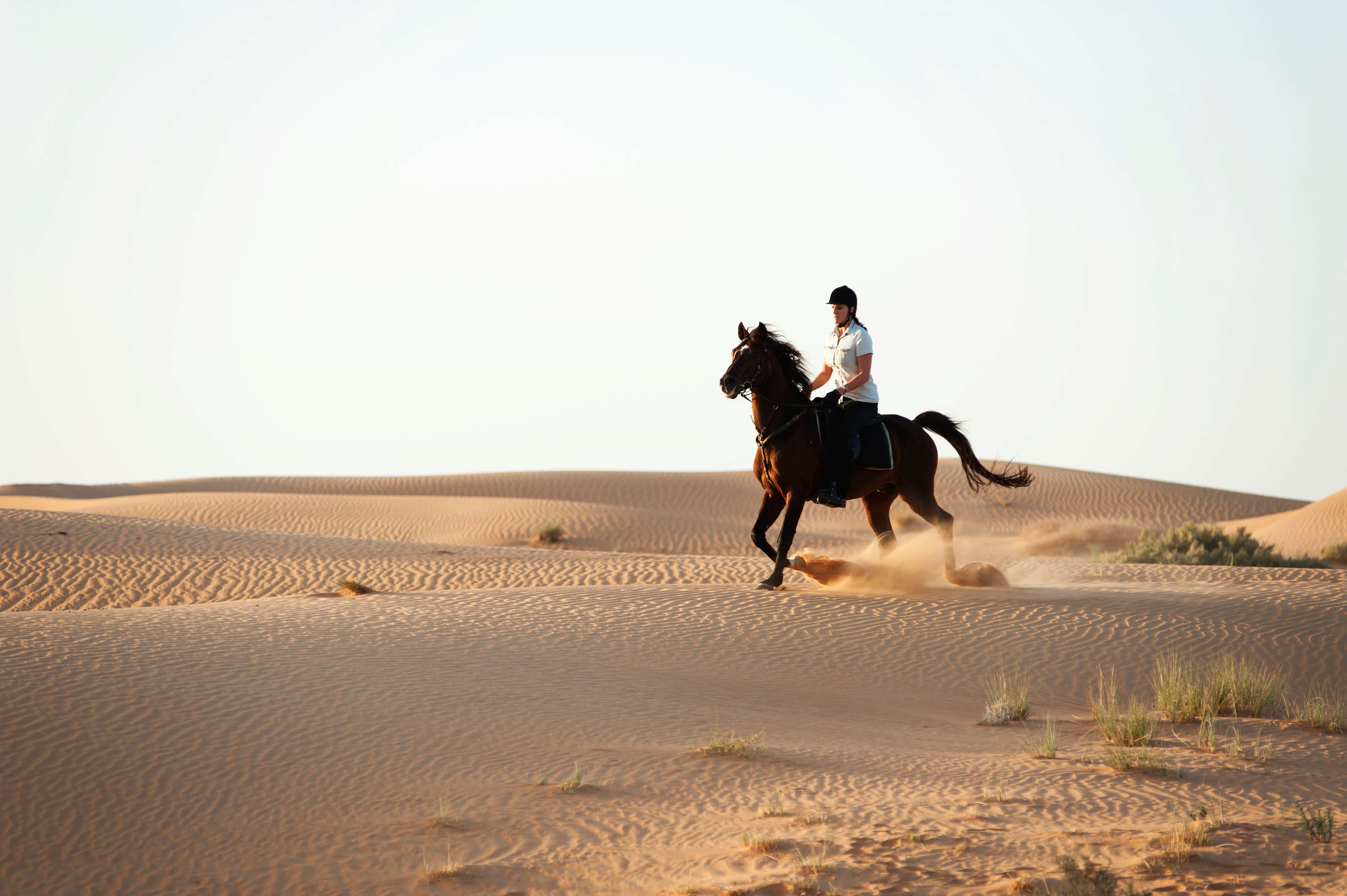 Al Maha, a Luxury Collection Desert Resort & Spa