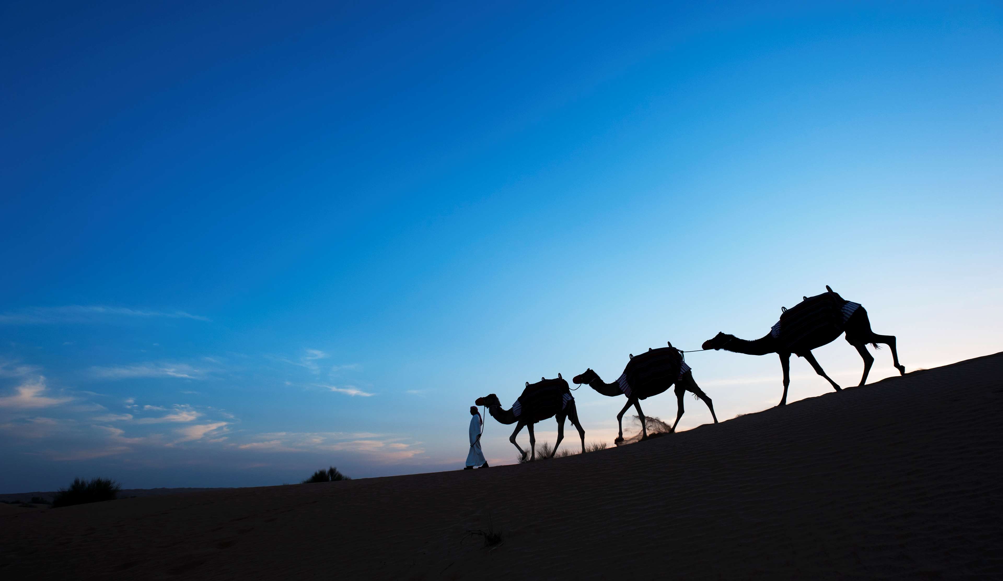 Al Maha, a Luxury Collection Desert Resort & Spa