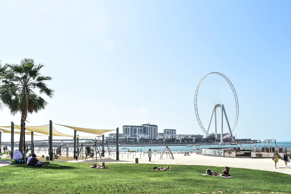 Bay Central 1 by Frank Porter