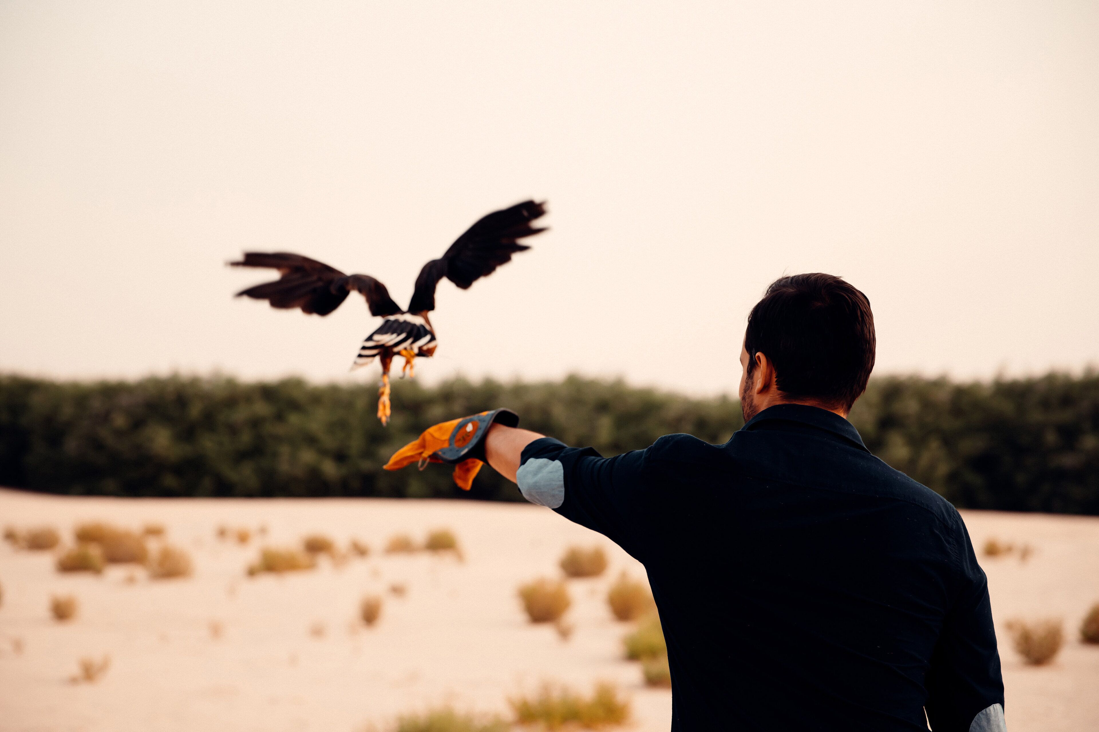 Al Wathba, a Luxury Collection Desert Resort & Spa, Abu Dhabi