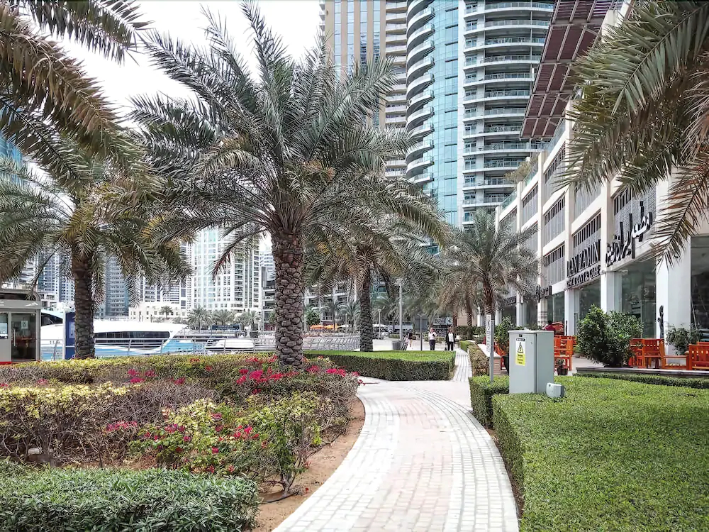 Marina Tower by Frank Porter