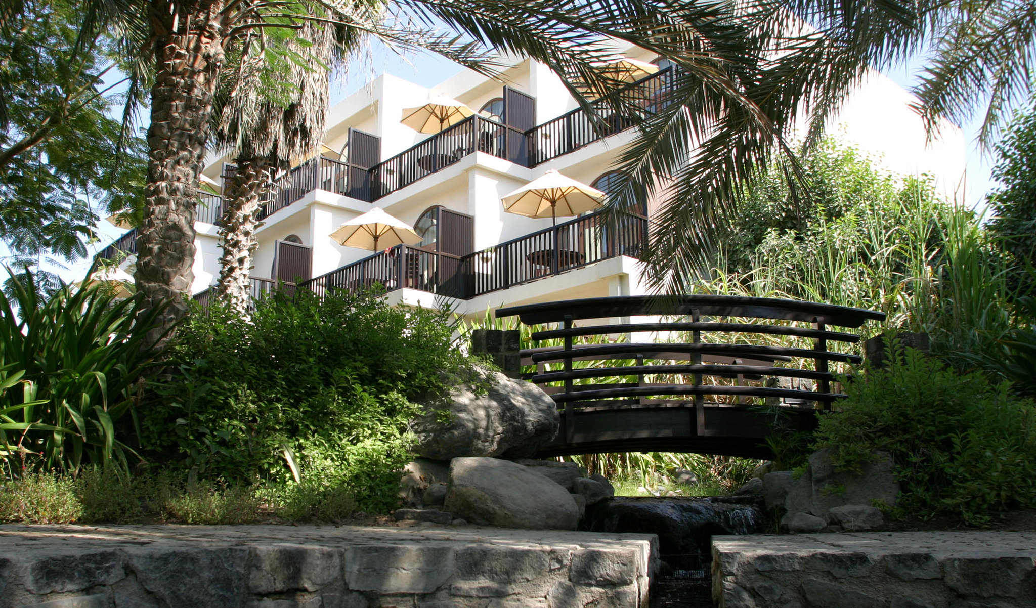 JA Palm Tree Court