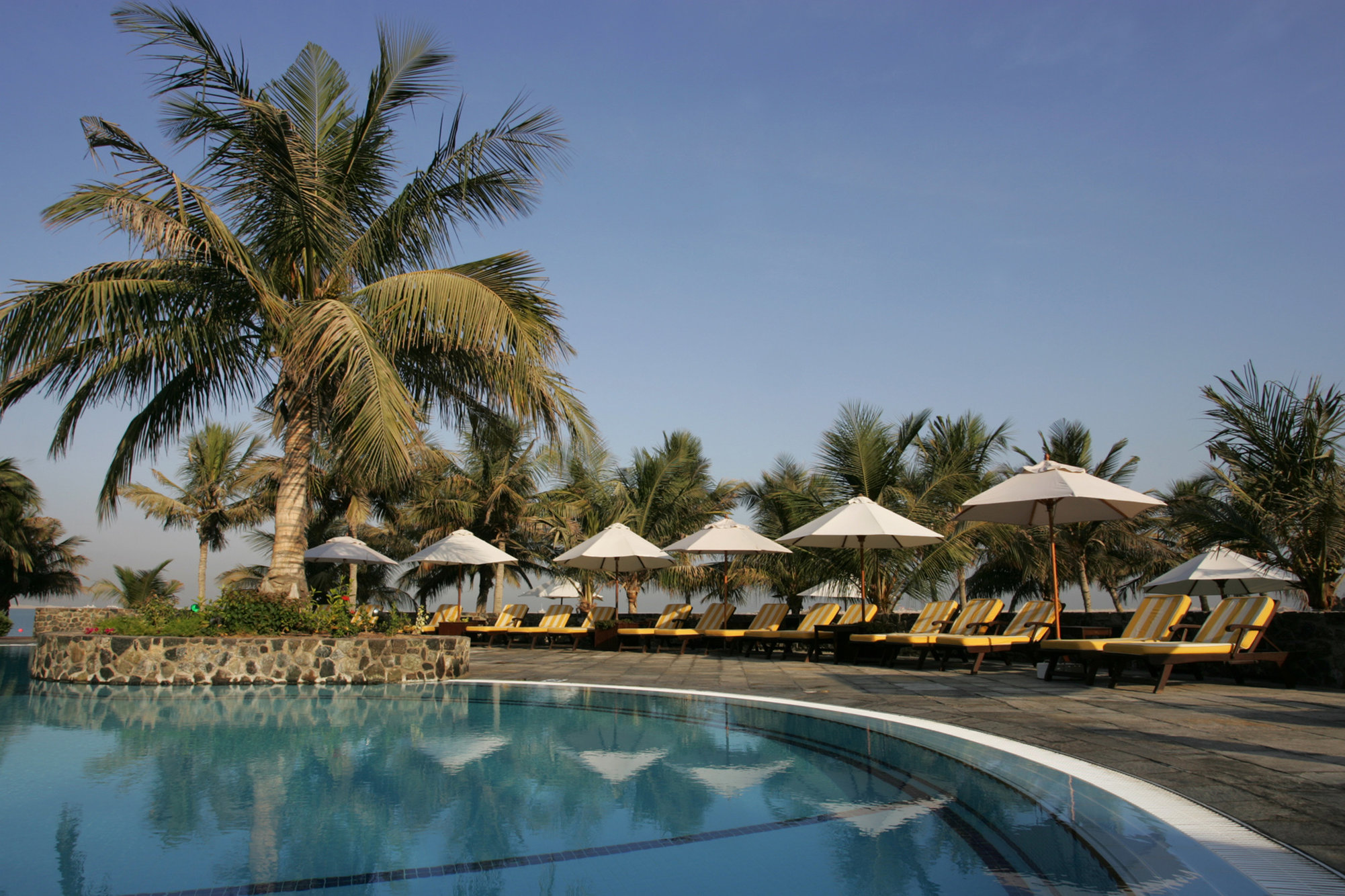JA Palm Tree Court
