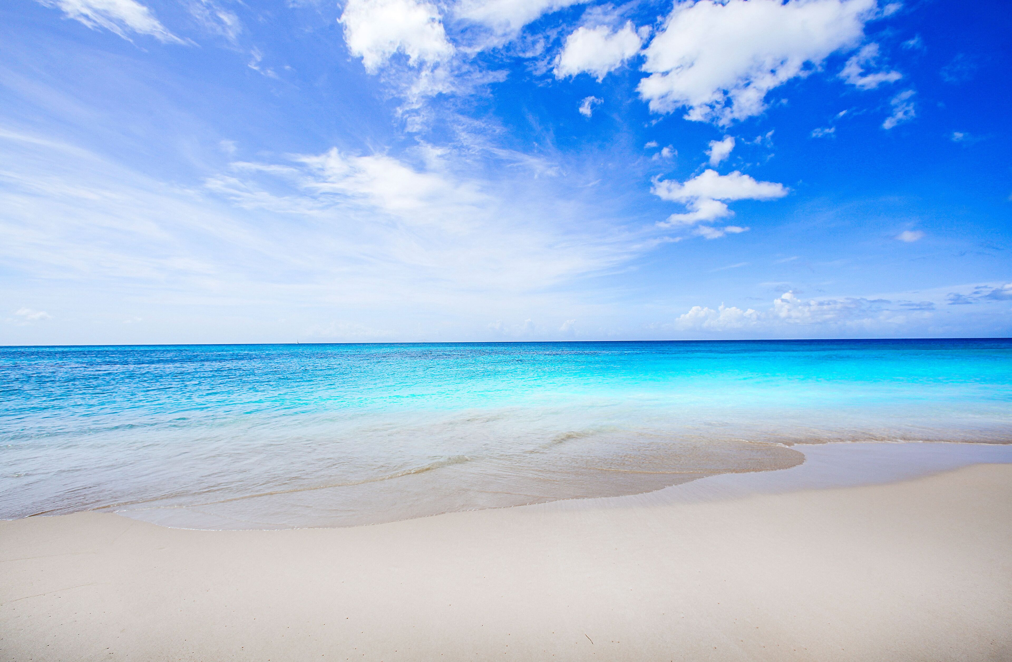 Conch Beach Cabins