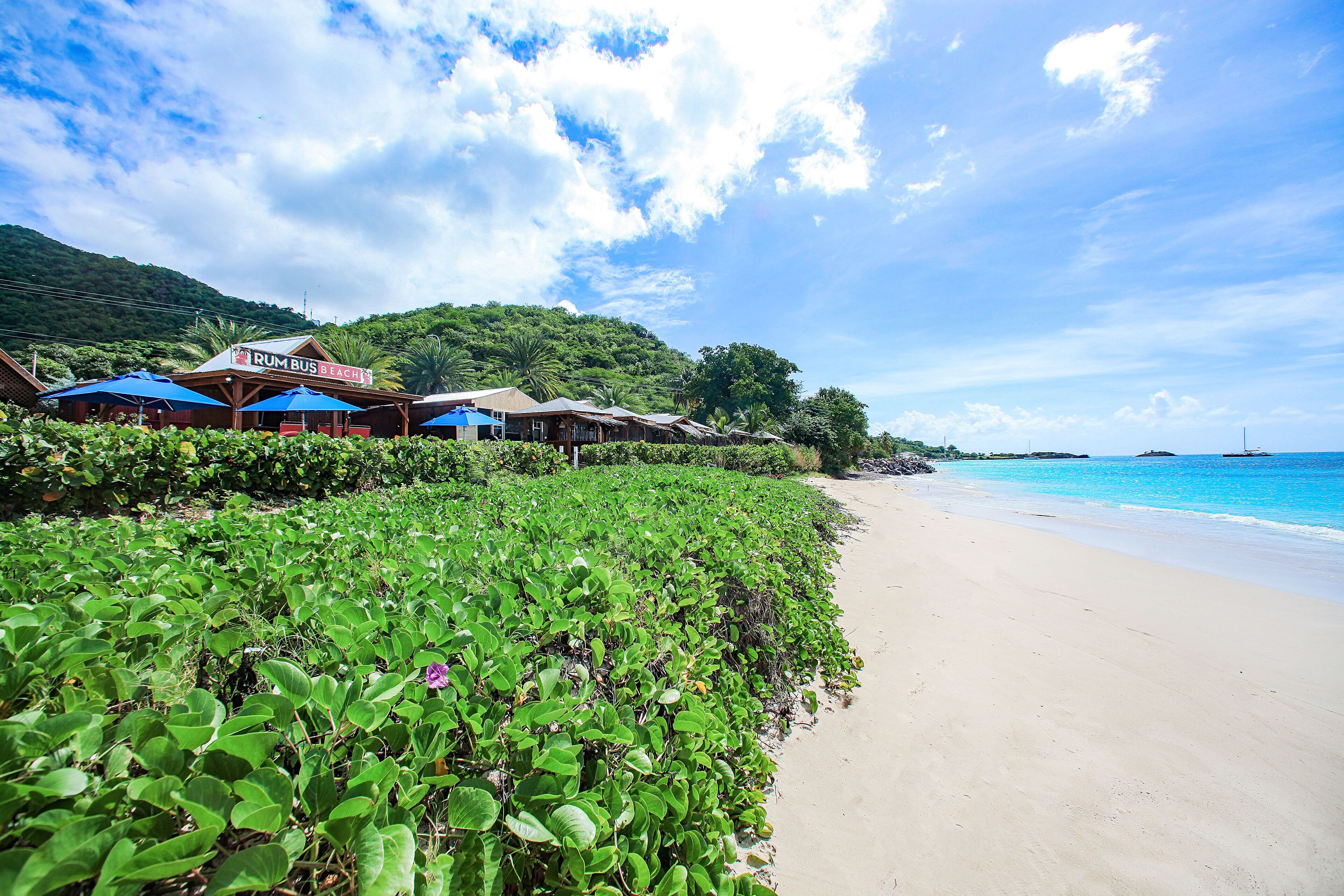 Conch Beach Cabins
