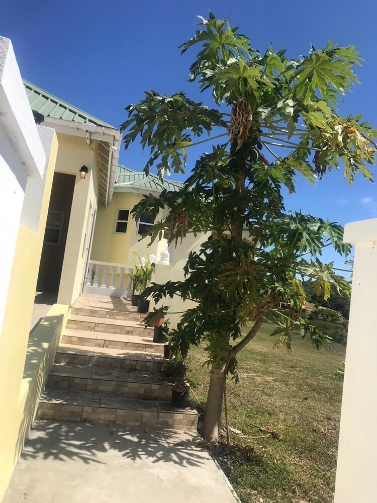 Williams Estate