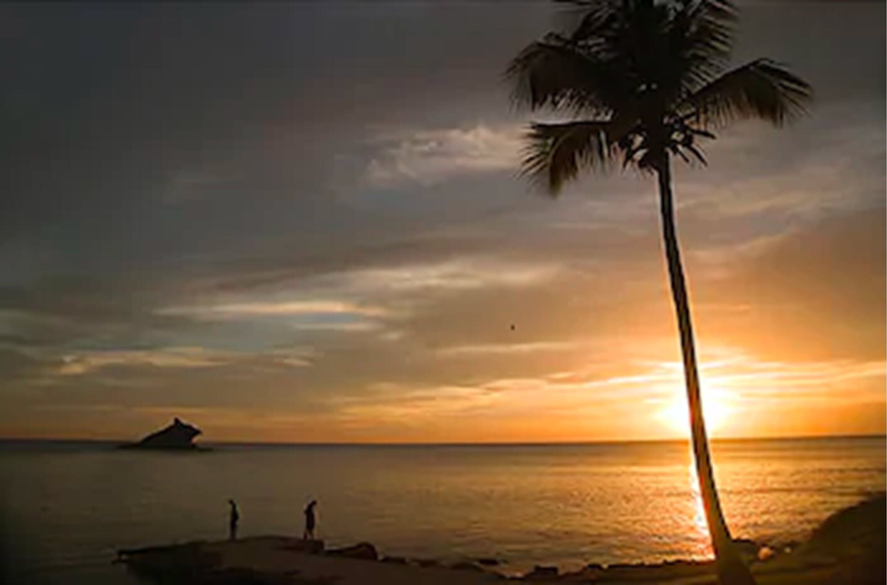 Hawksbill Resort