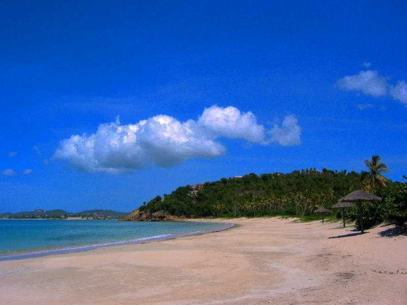 Coconut Beach Club
