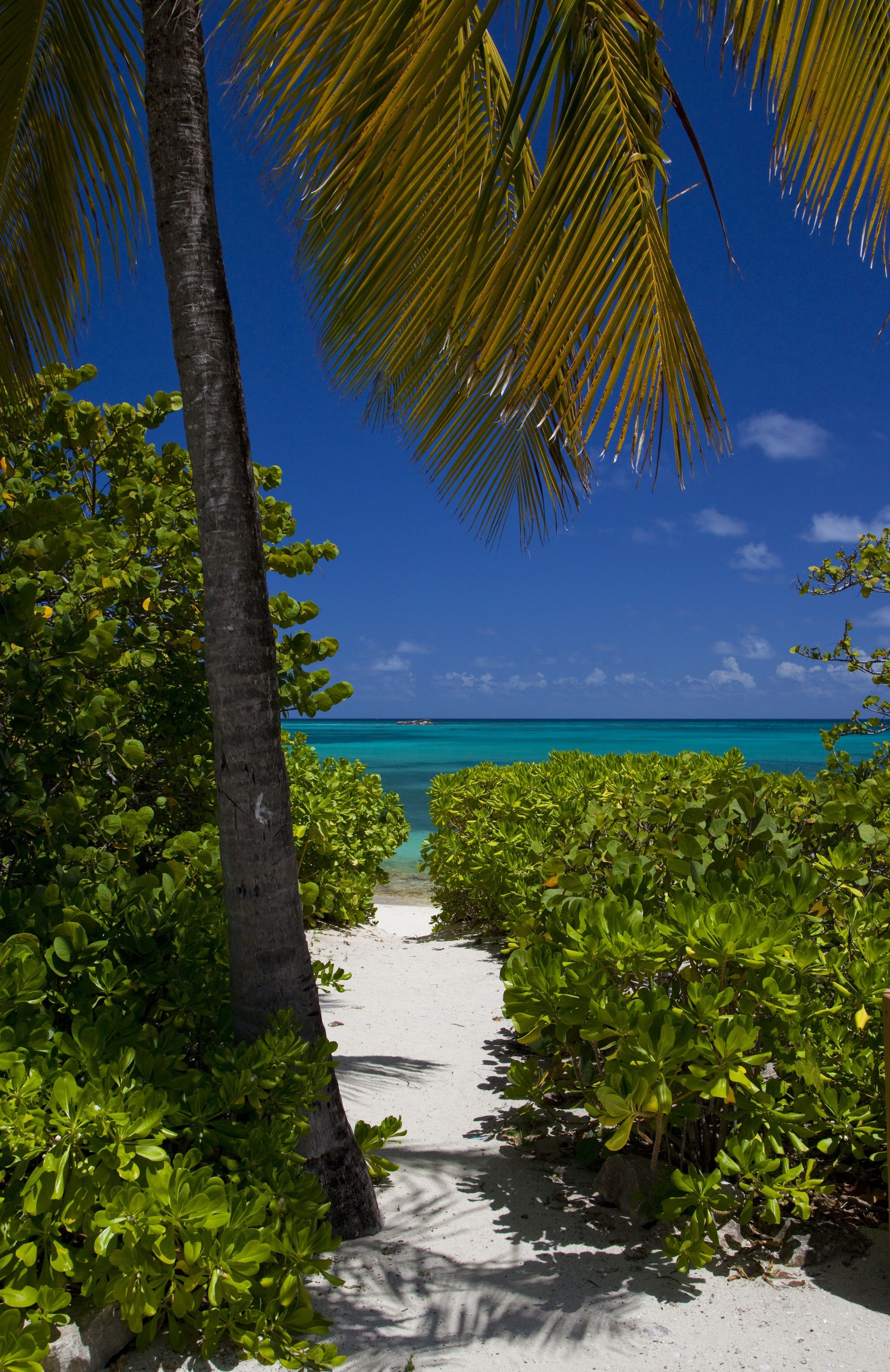 Jumby Bay Island Resort