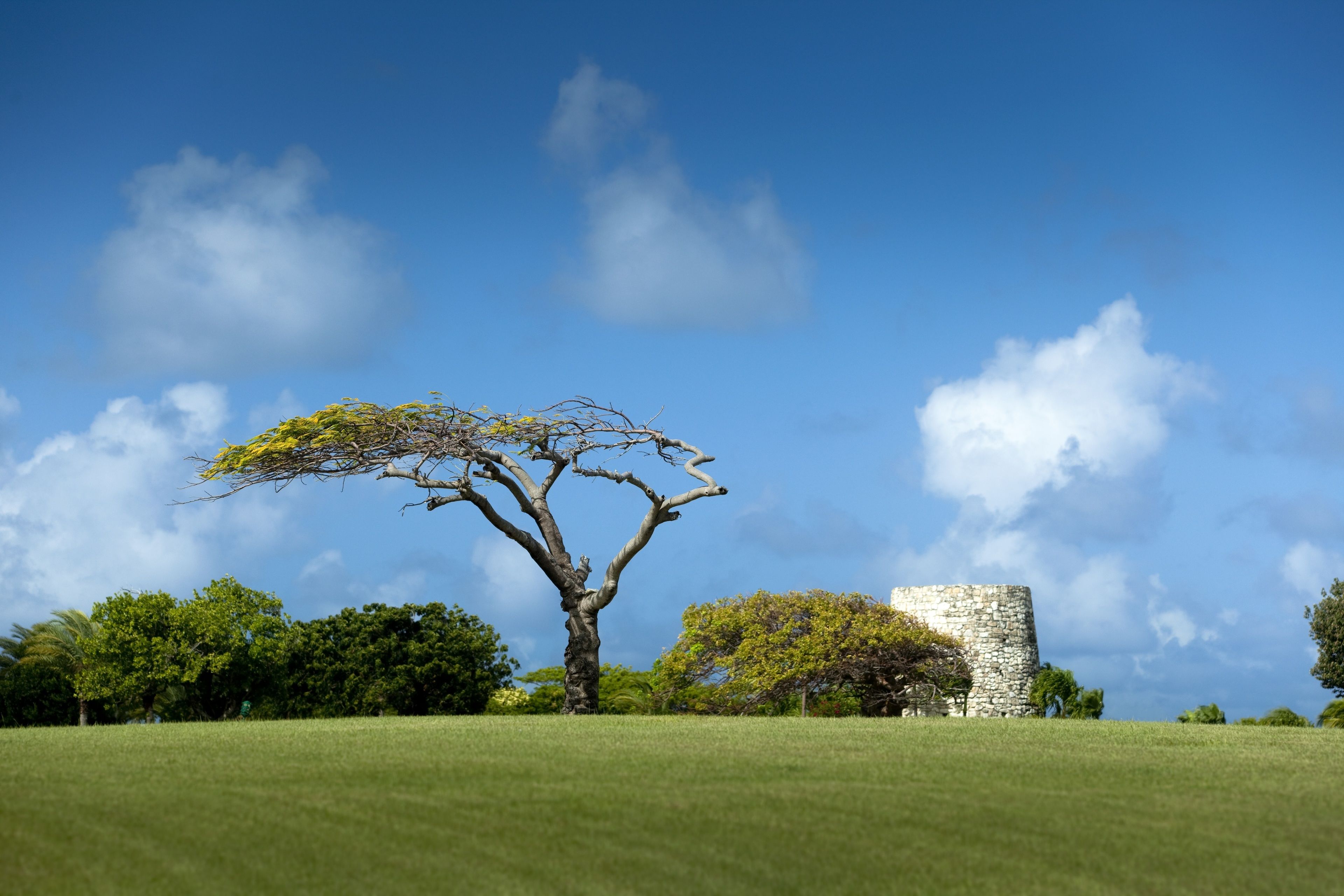 Jumby Bay Island Resort