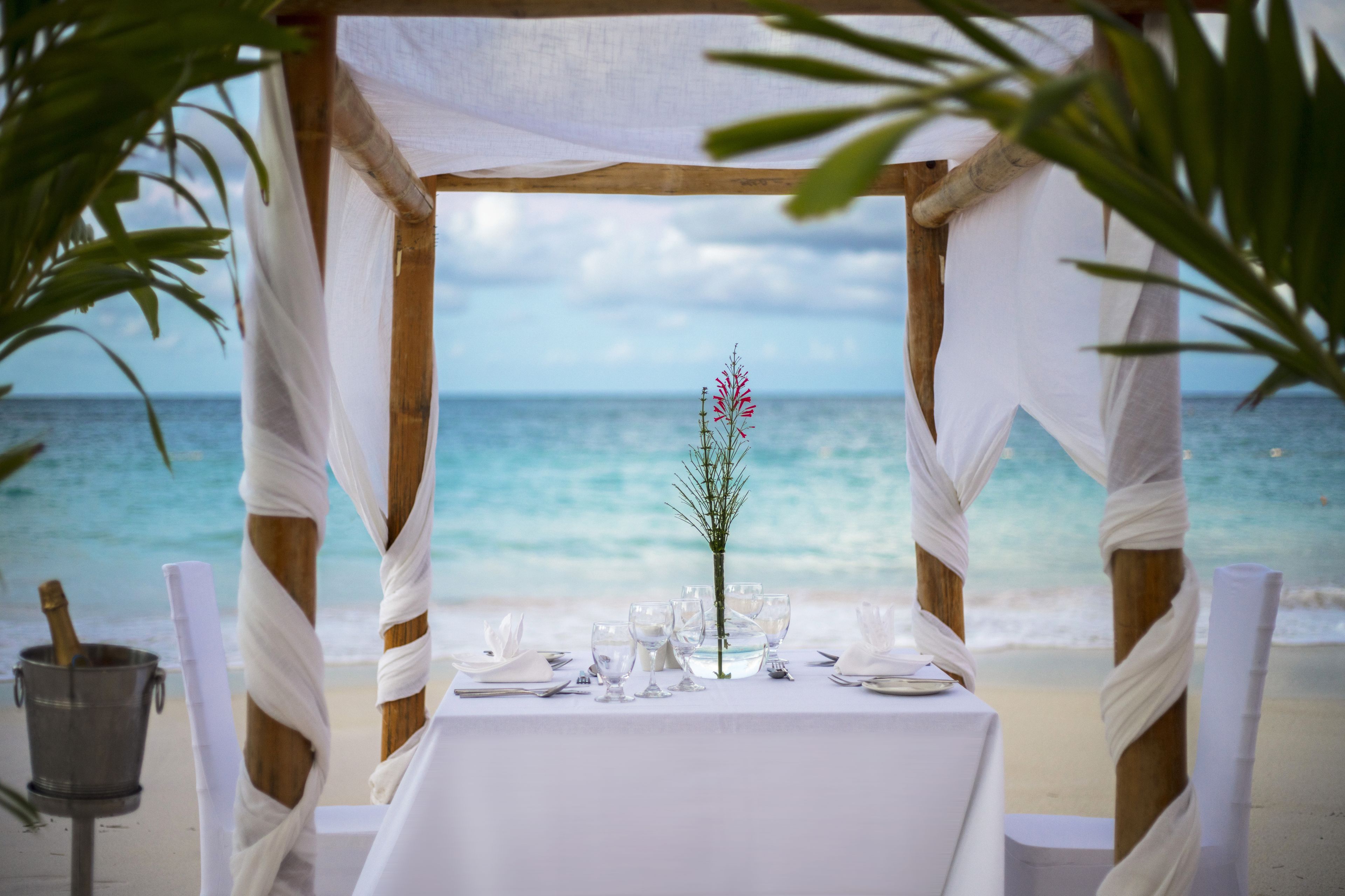Pineapple Beach Club