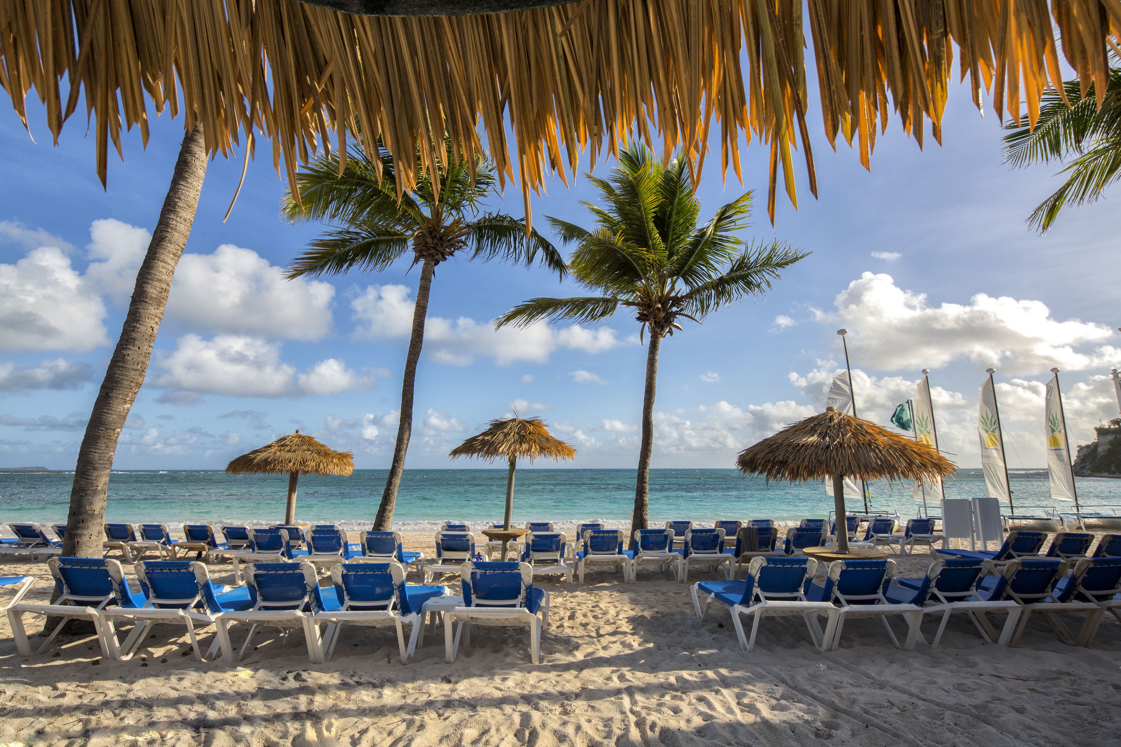 Pineapple Beach Club