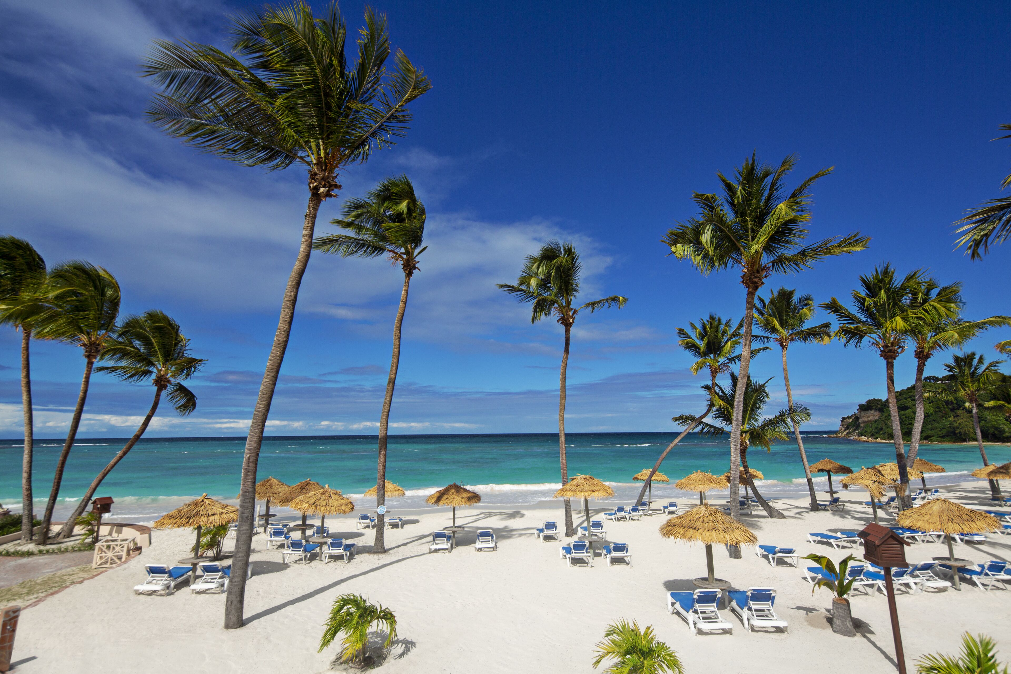 Pineapple Beach Club