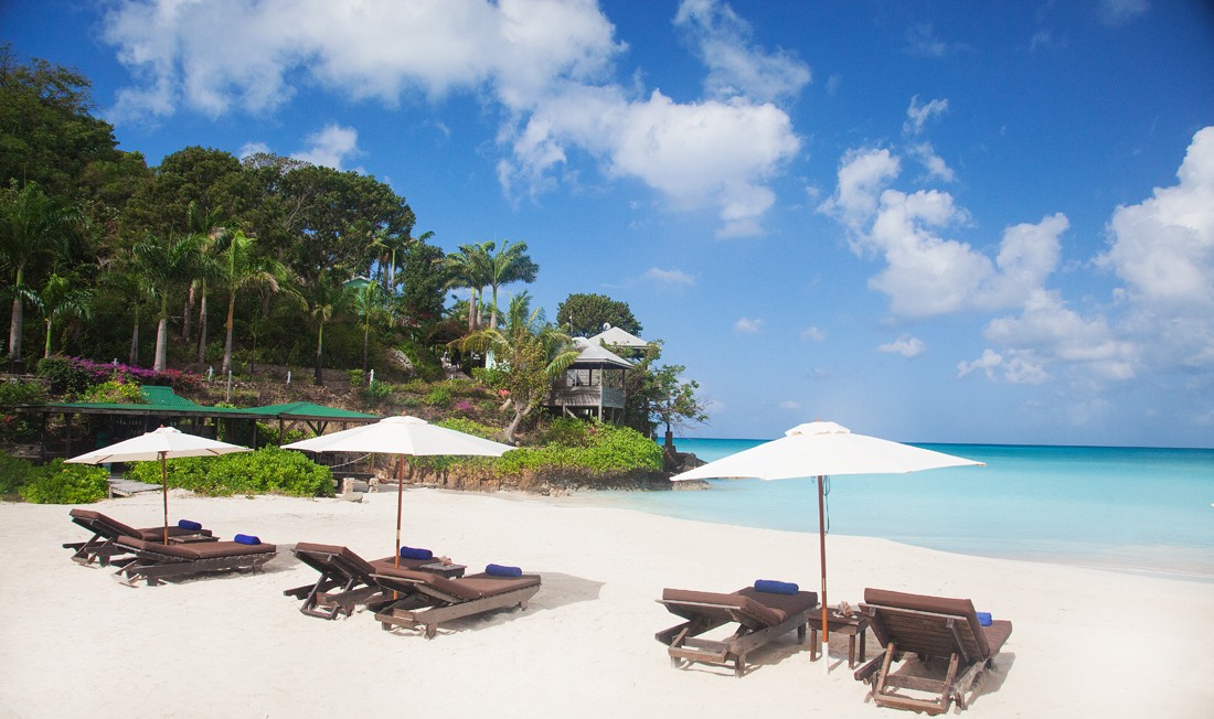 Cocos Antigua