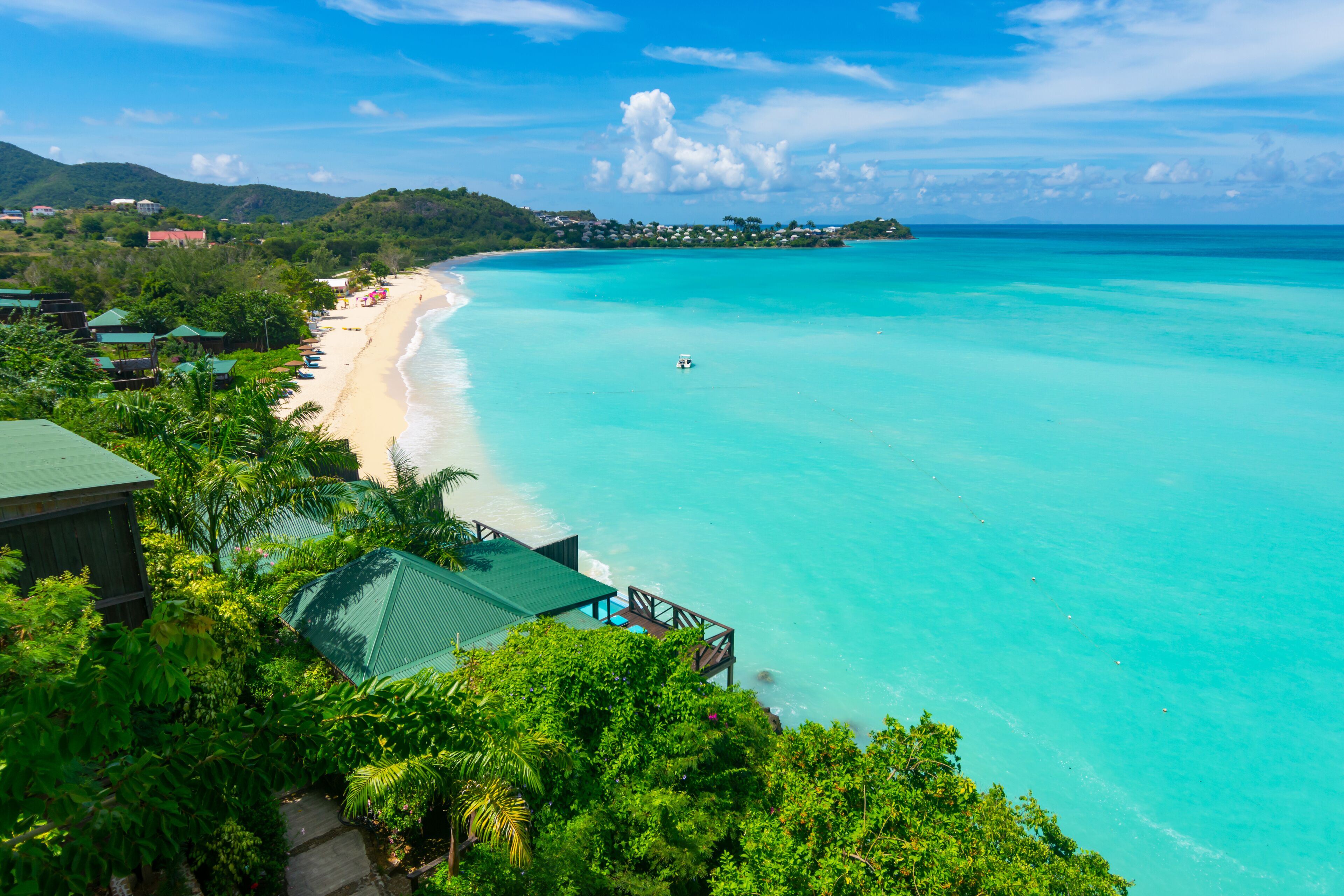 Cocos Antigua