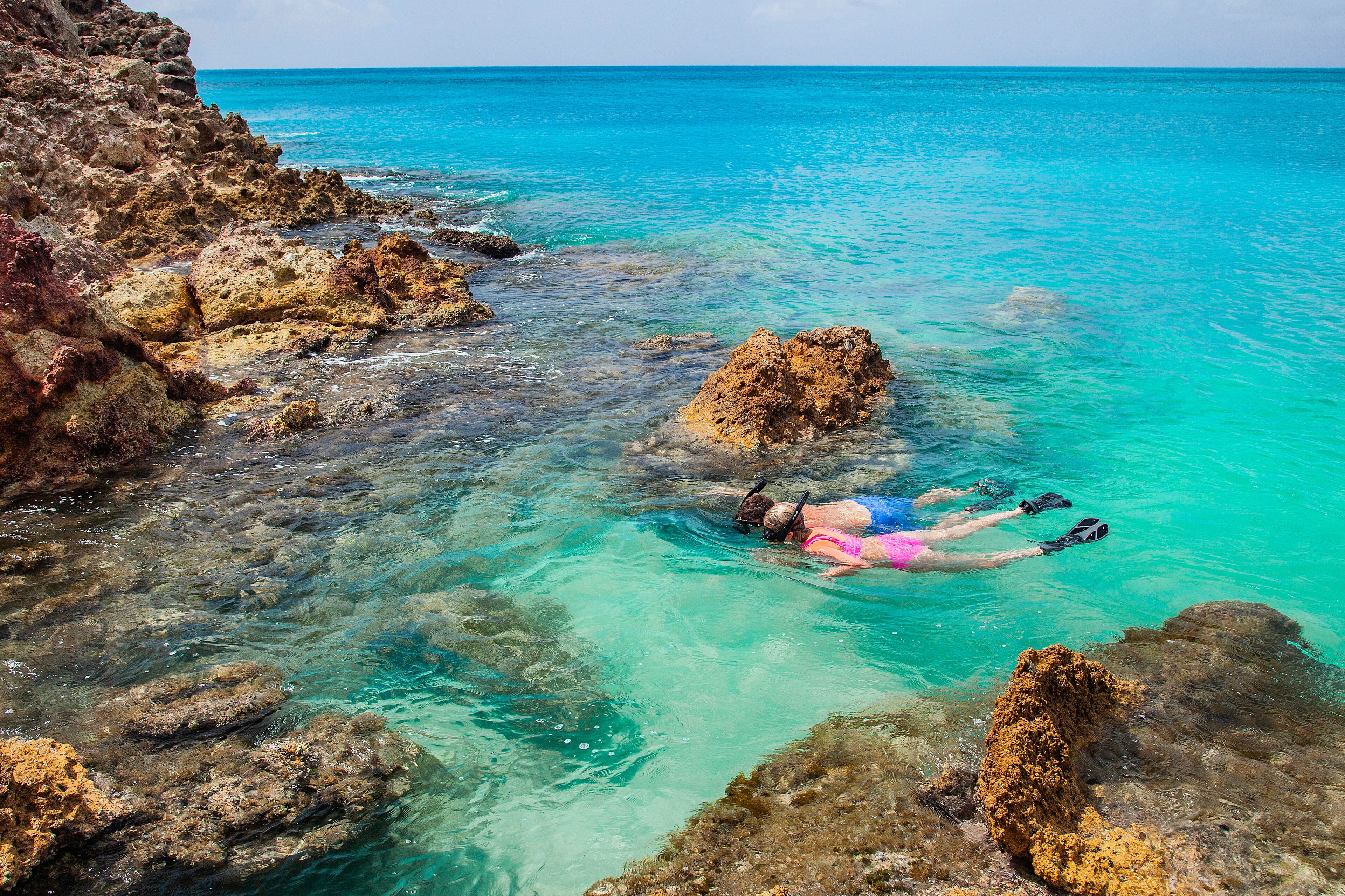 Cocos Antigua
