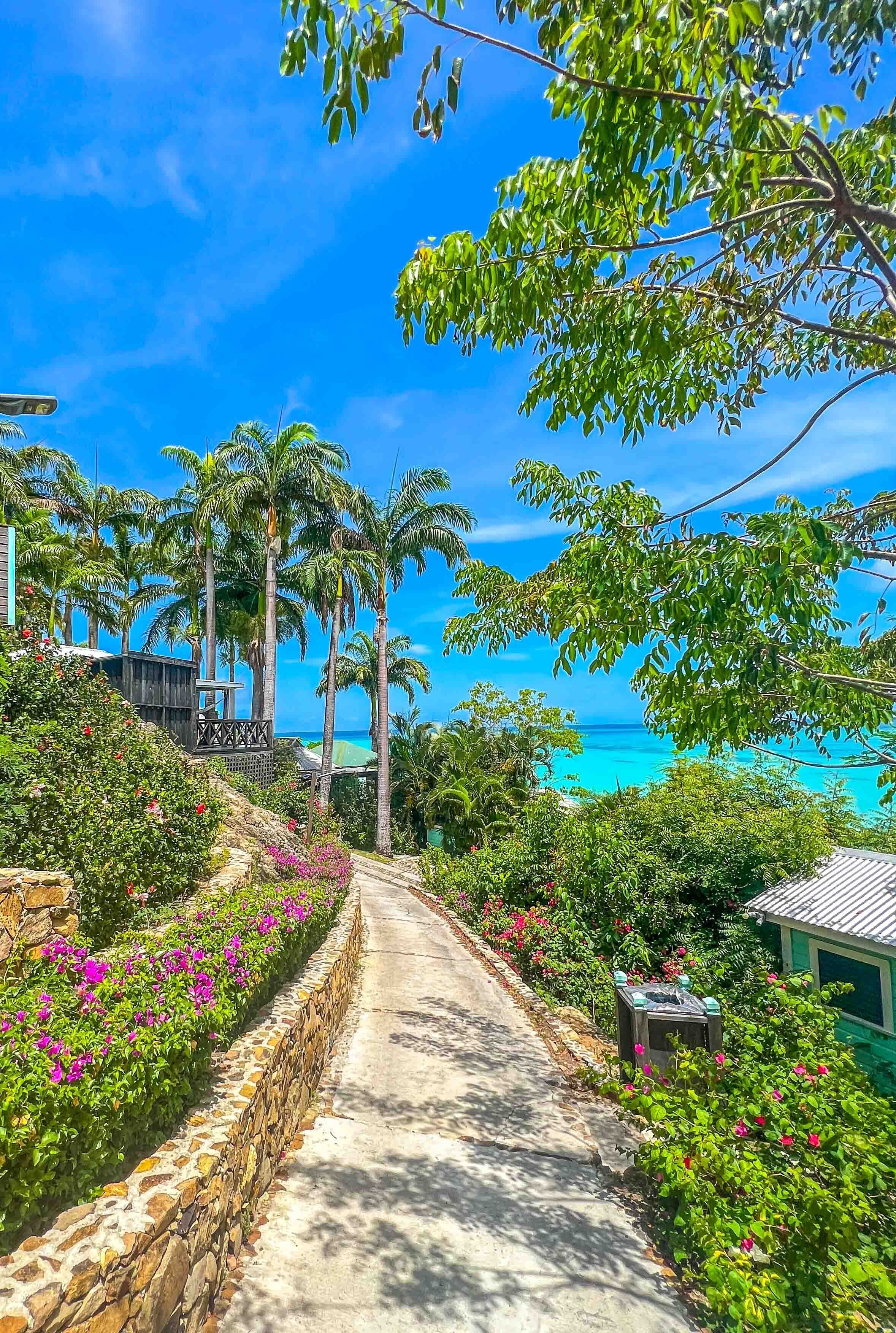 Cocos Antigua