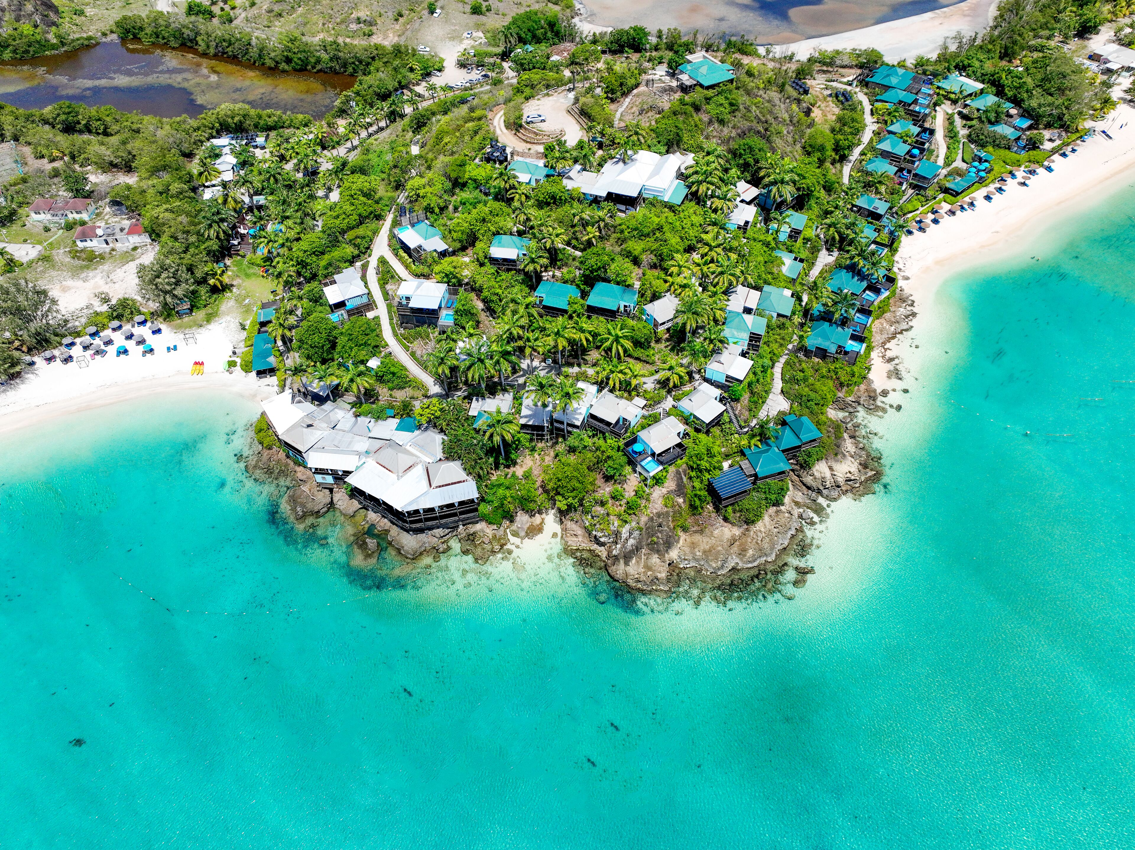 Cocos Antigua
