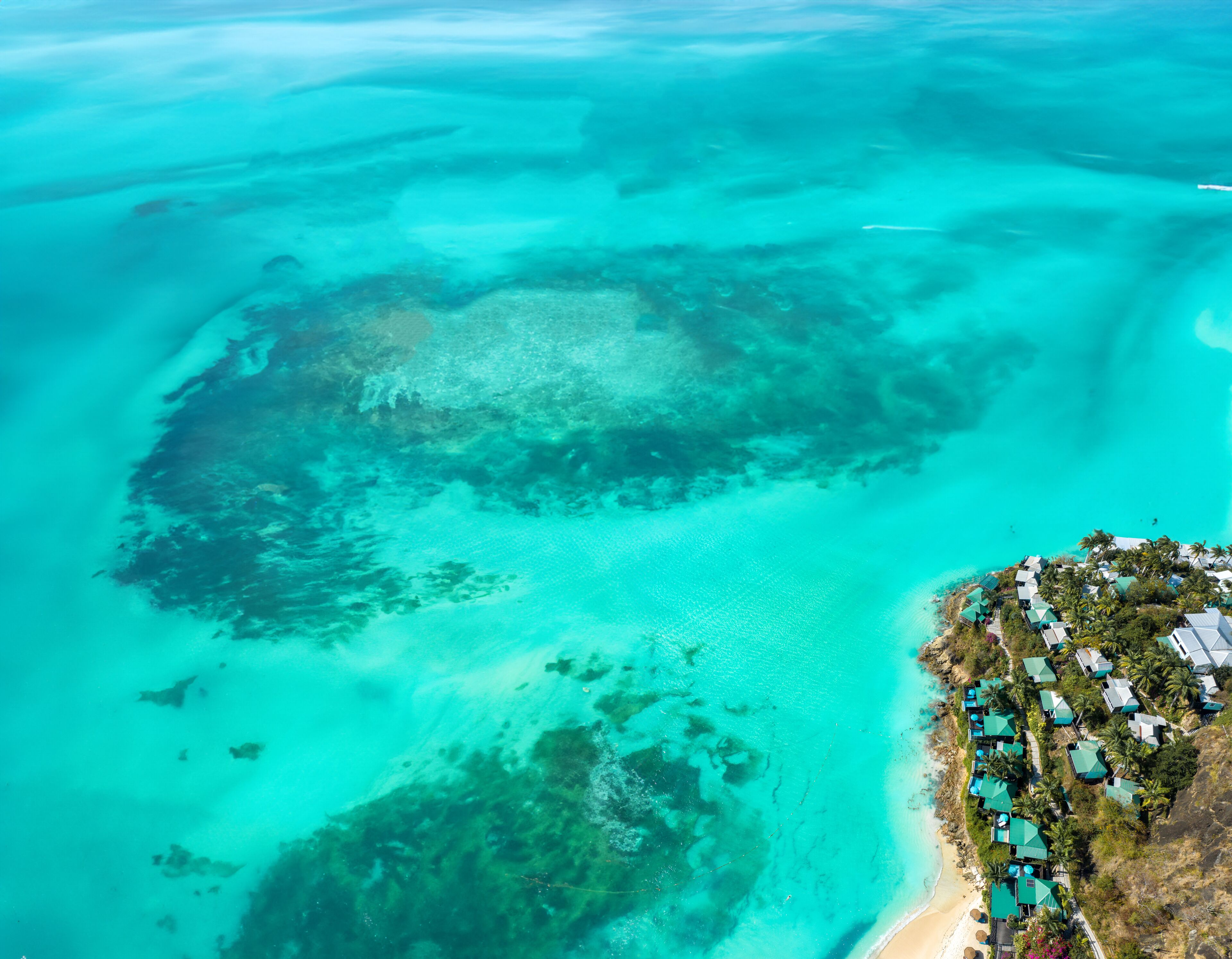 Cocos Antigua