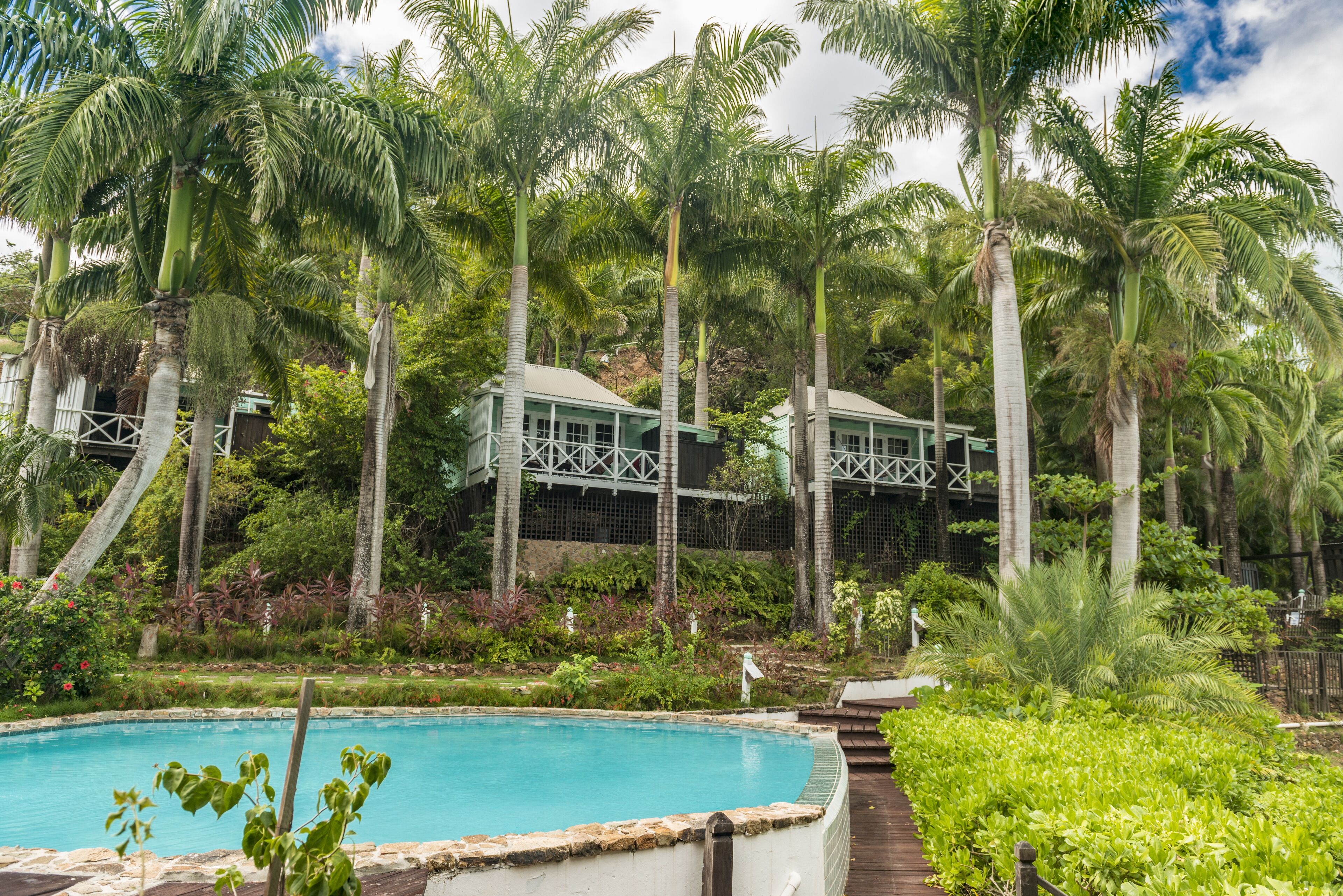 Cocos Antigua