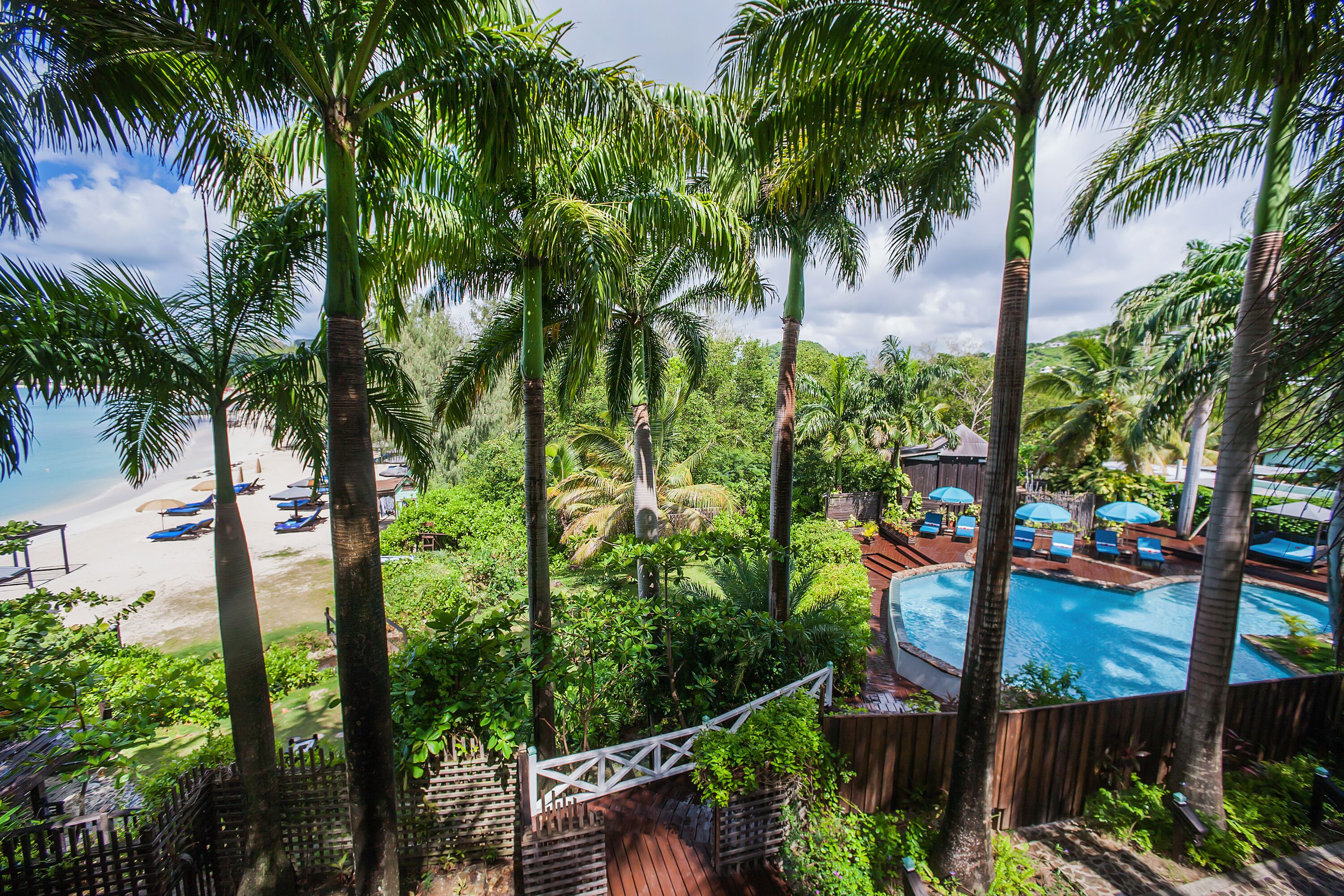 Cocos Antigua