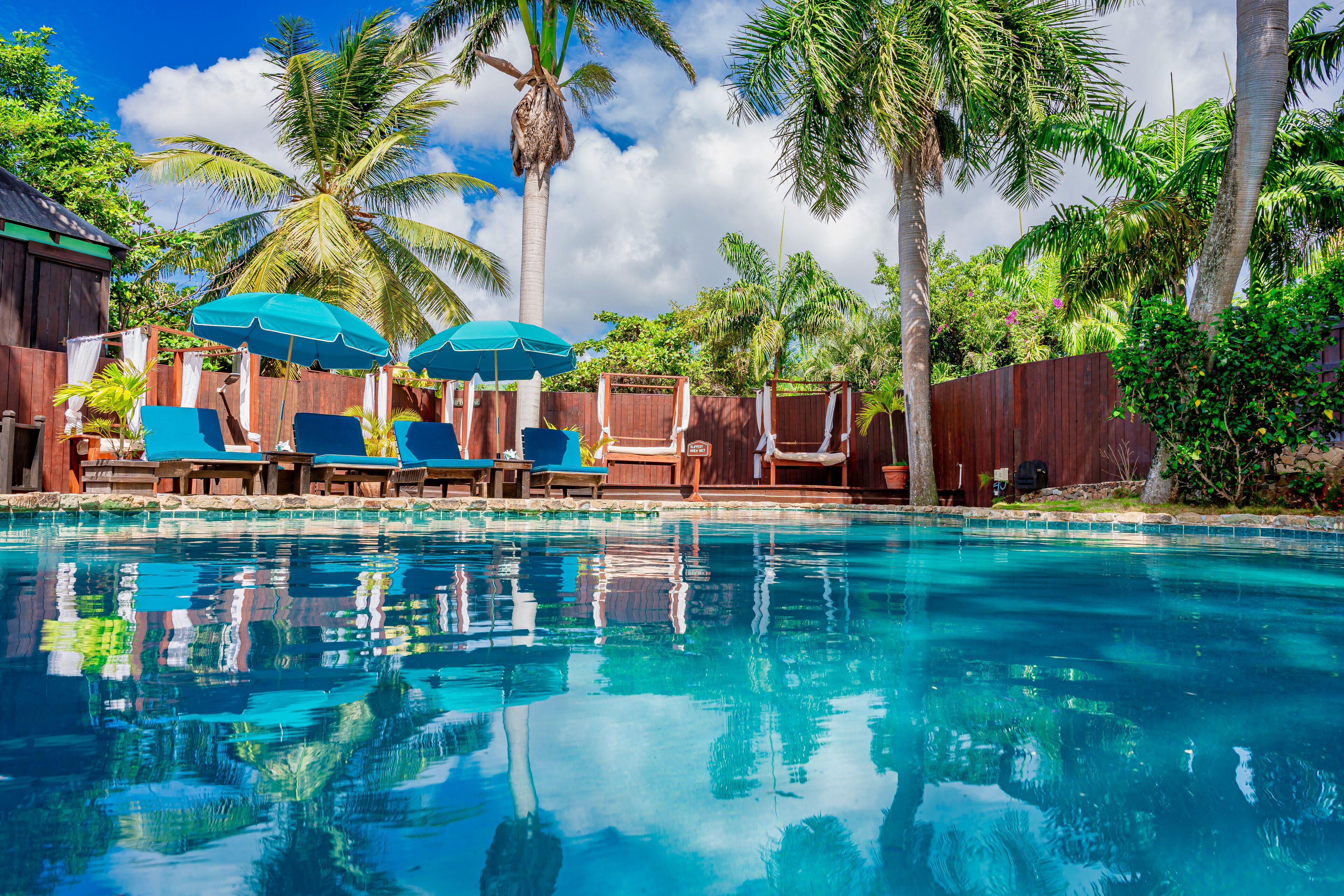 Cocos Antigua