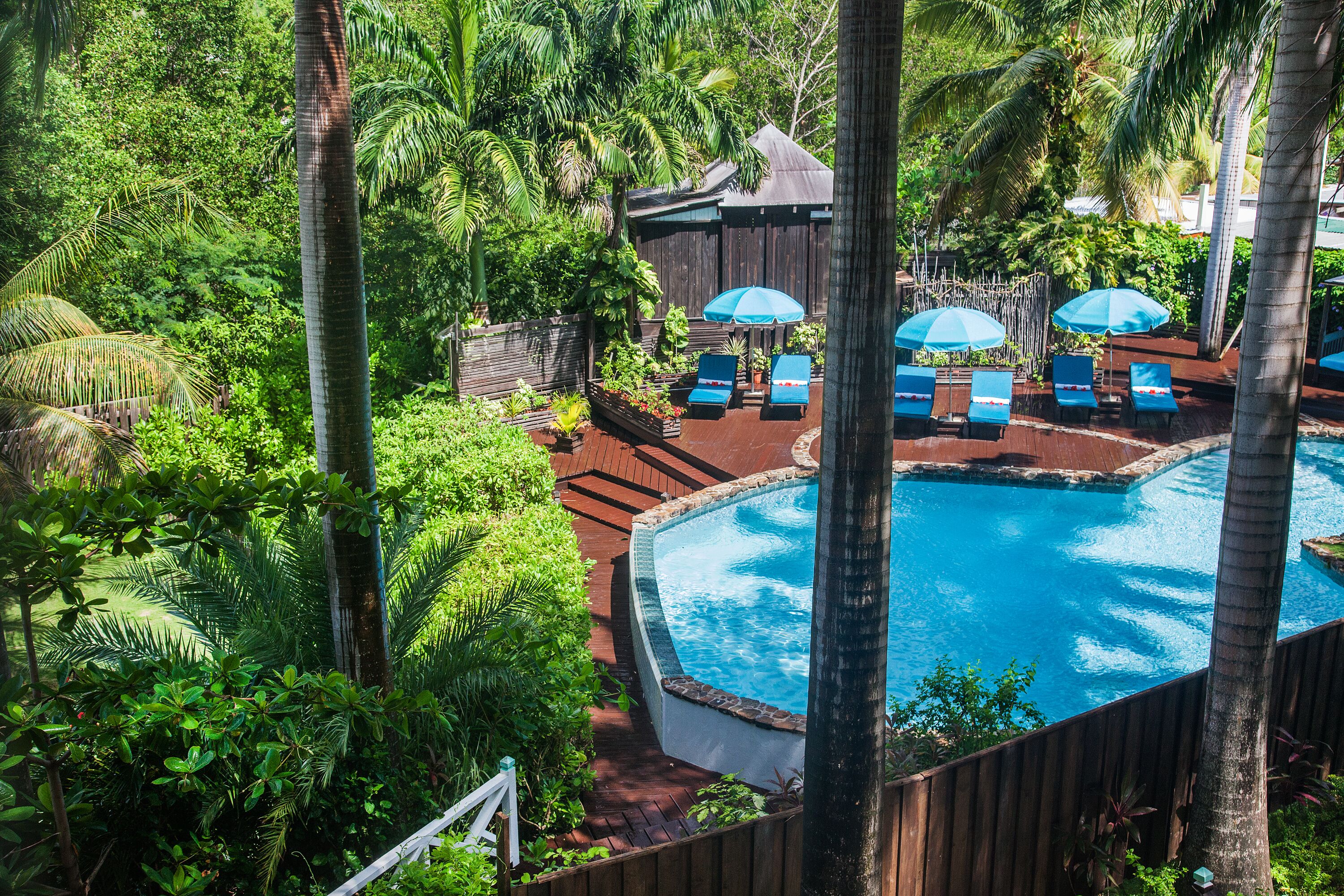 Cocos Antigua